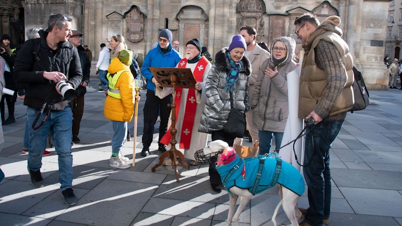 Auch gesegnet wurden alle Hunde vor dem Stephansdom.