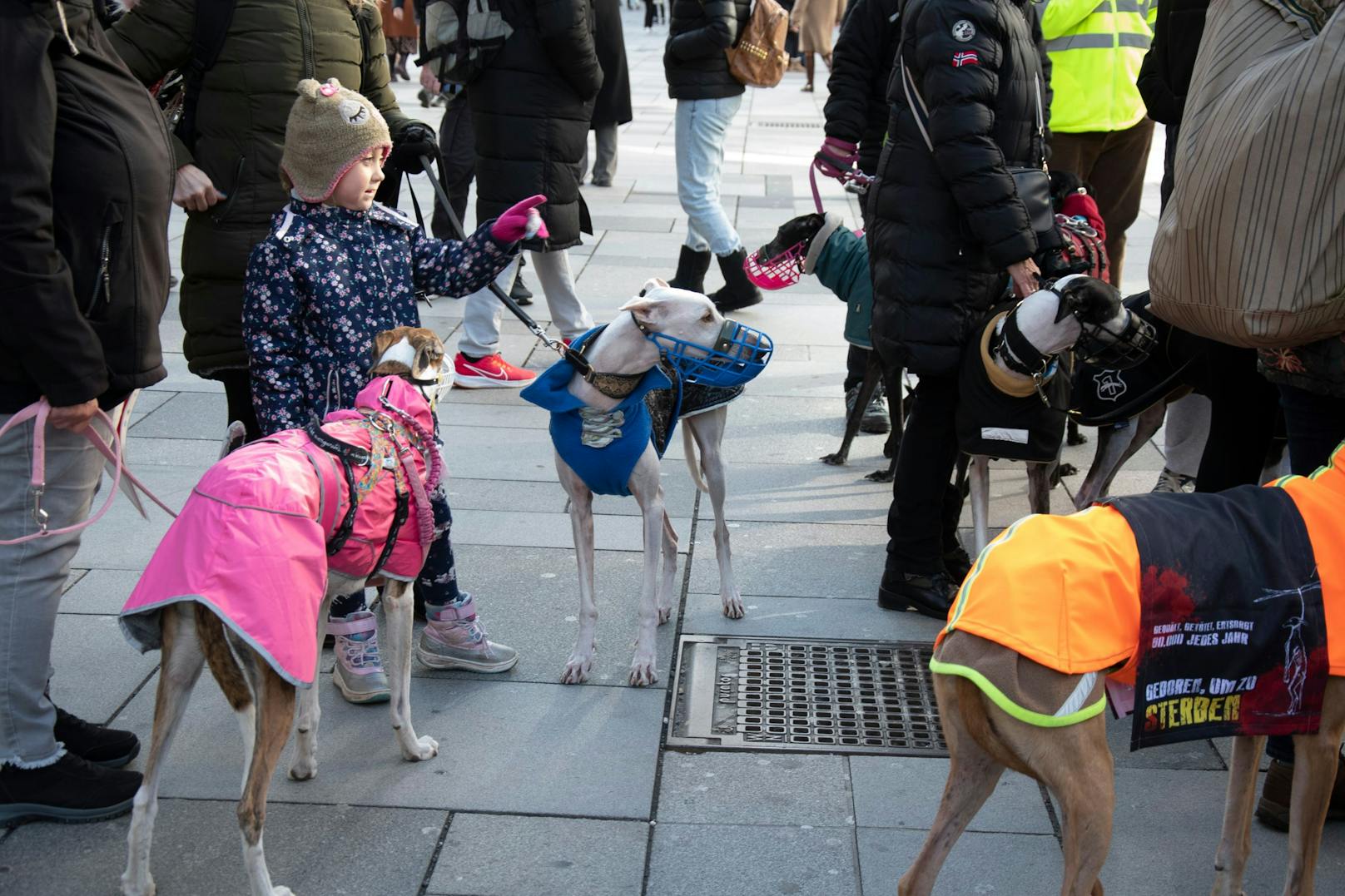 Deshalb greifen Tierschutzgesetze für diese wunderbaren Hunde nicht.&nbsp;