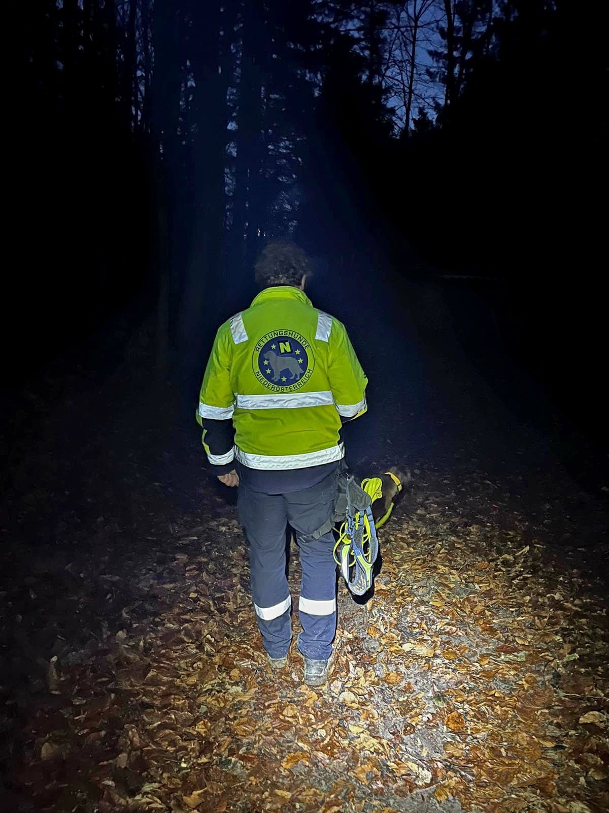 Mit Hunden wurde die ganze Nacht nach dem Mann gesucht.