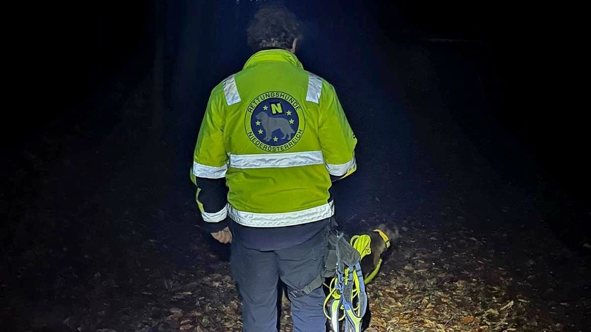 Mit Hunden wurde die ganze Nacht nach dem Mann gesucht.