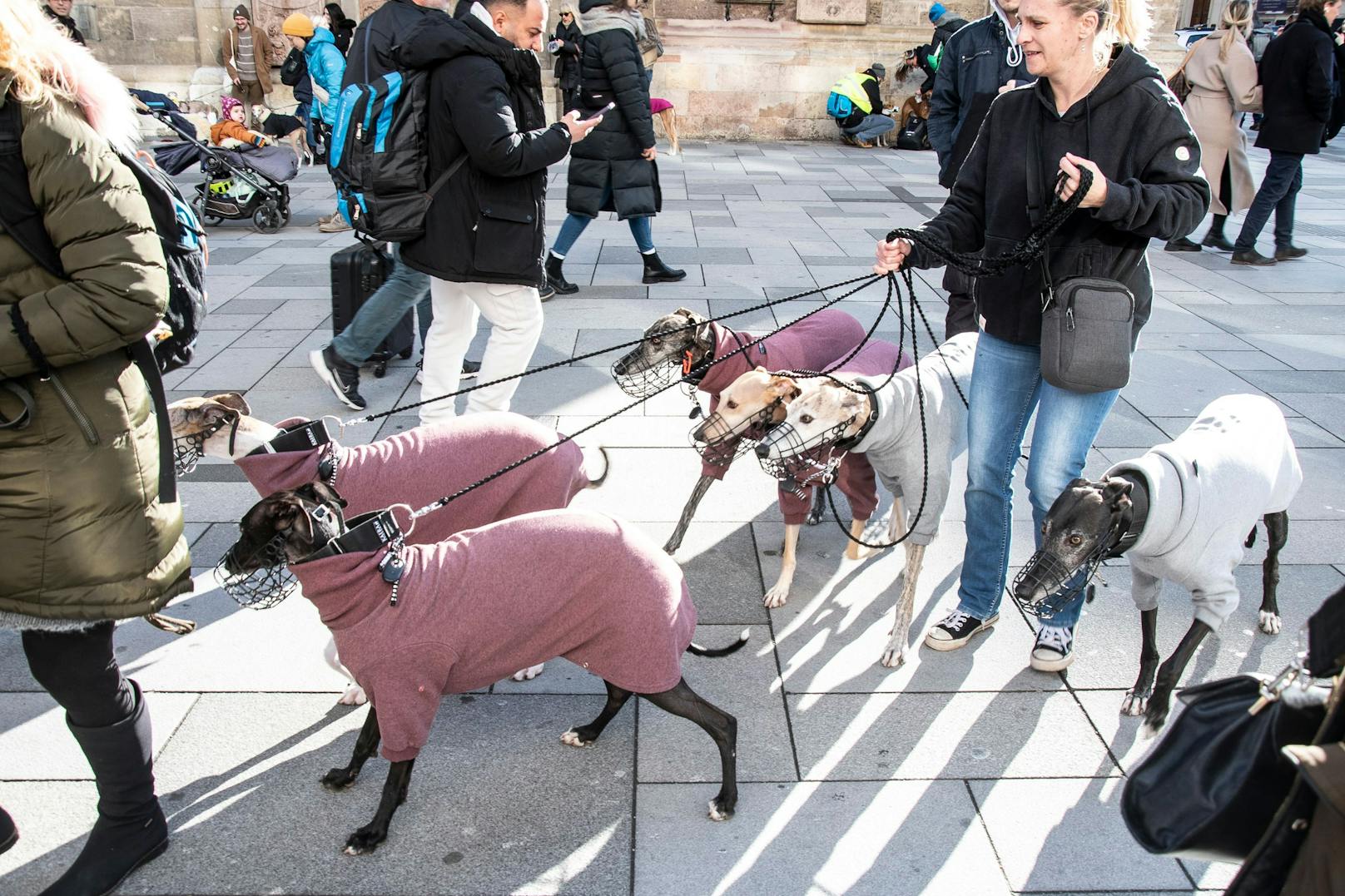 Die Beisskorb-Pflicht war für manche Hunde richtig fies, doch was tut man nicht alles für seine armen Kollegen in Spanien.&nbsp;