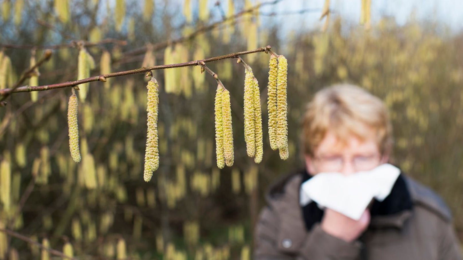 Pollenalarm in Wien – das fliegt jetzt durch die Luft