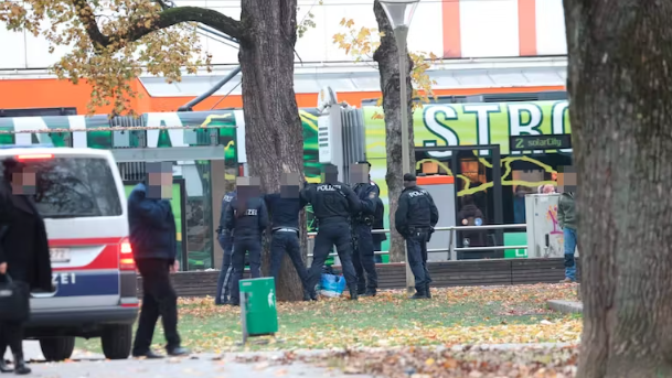 Im Linzer Volksgarten muss regelmäßig die Polizei einschreiten.