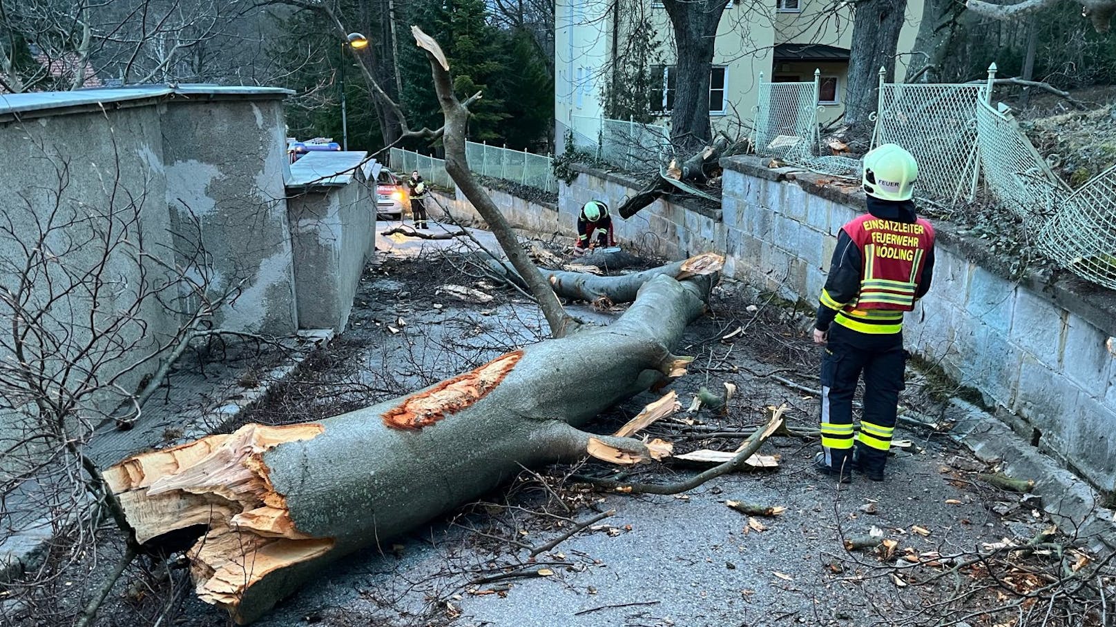 Schon 70 Einsätze! Sturm hält Feuerwehr in NÖ auf Trab