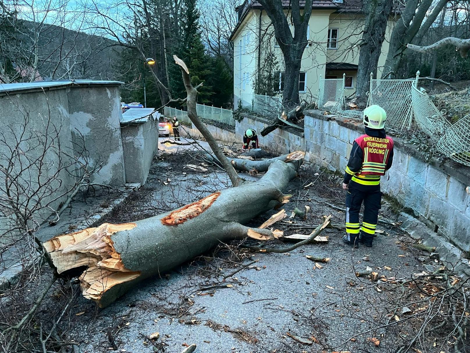 Einsätze für die Feuerwehr Mödling