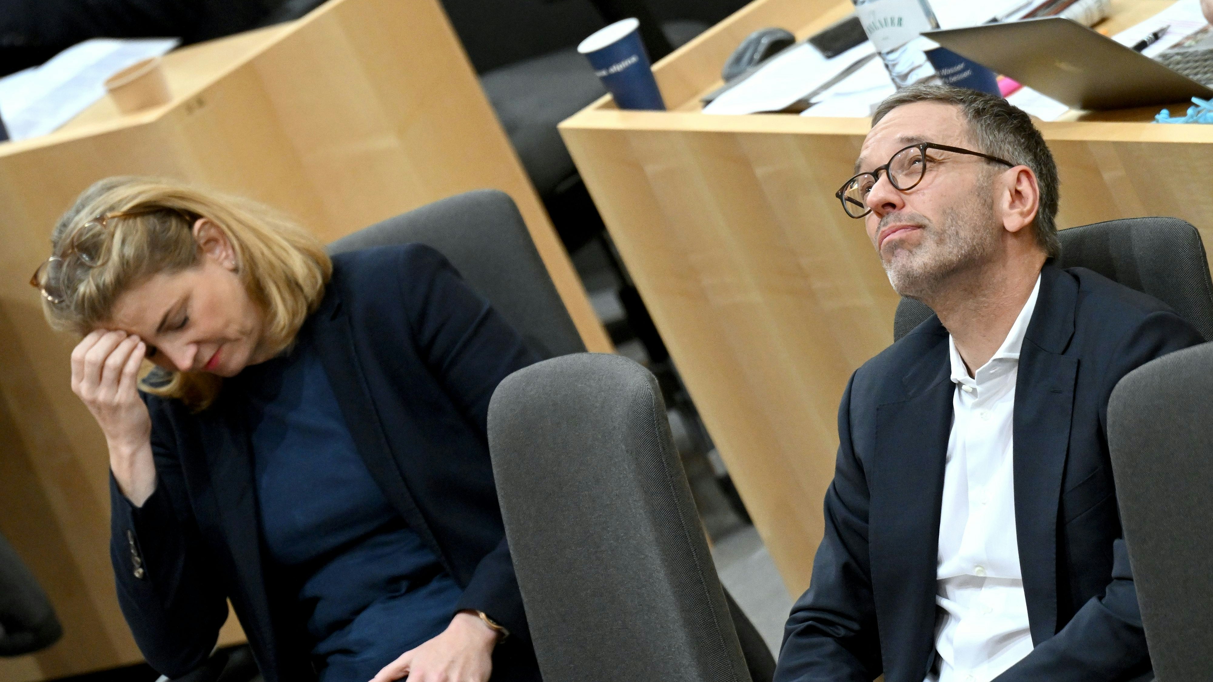 Herbert Kickl reagiert verstimmt auf die jüngste Polit-Forderung von Beate Meinl-Reisinger (Neos). 