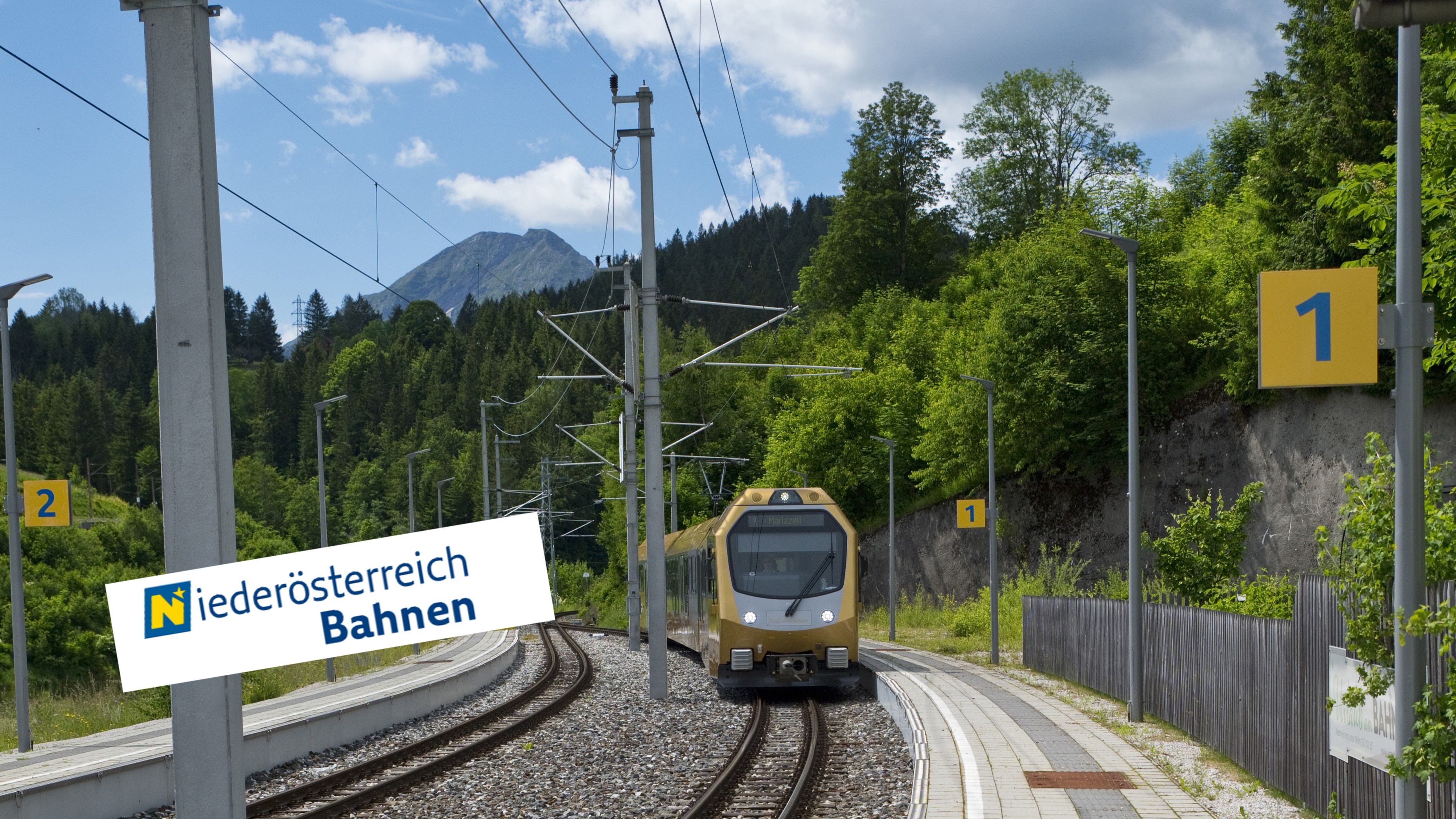 Die NÖVOG zahlte Mitgliedsbeiträge an den Wirtschaftsbund.