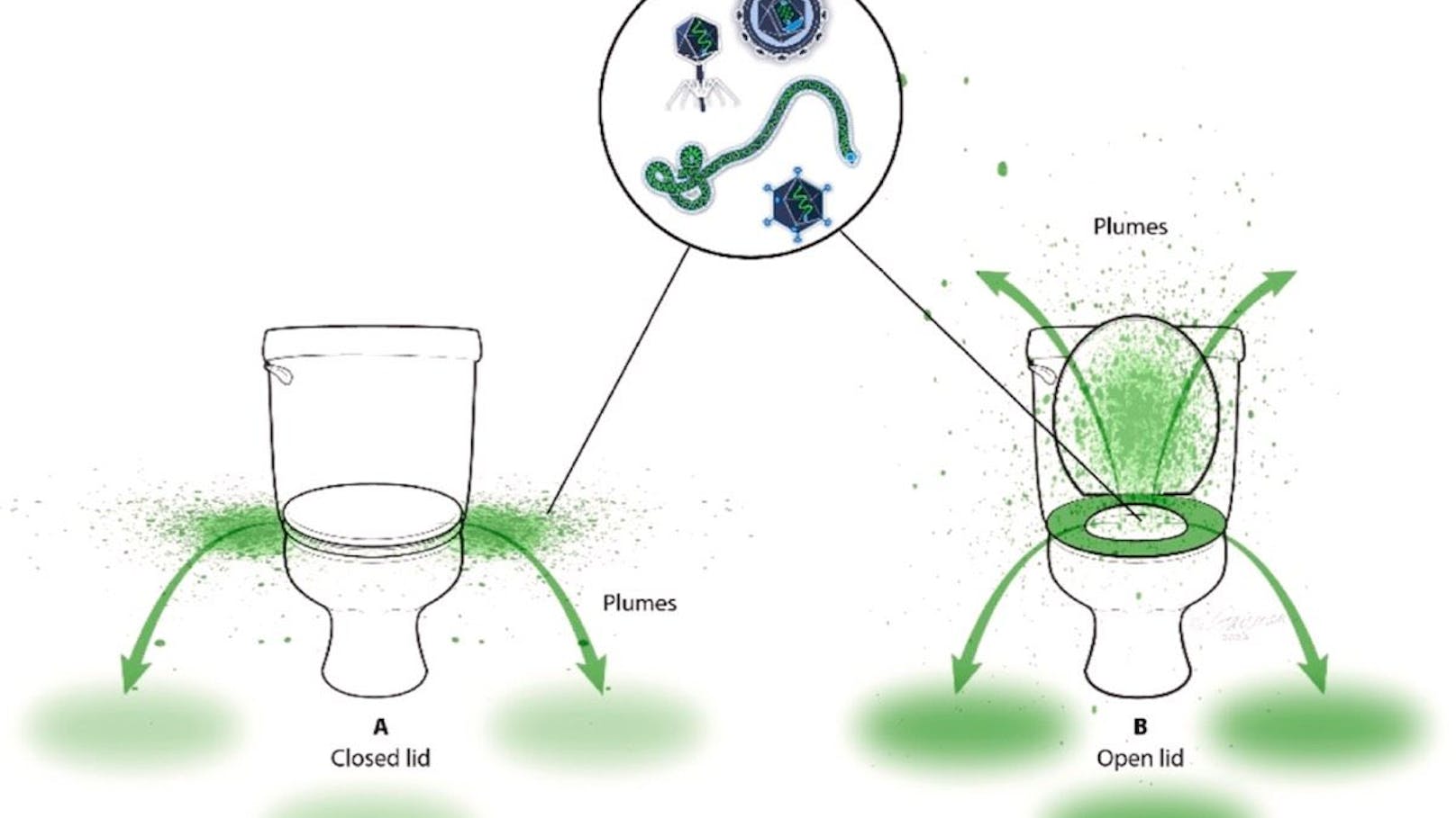 Schematische Darstellung der Aerosolisierung und Ausbreitung eines Bakteriophagen auf benachbarte Bereiche nach dem Spülen mit offenem und geschlossenem Deckel.