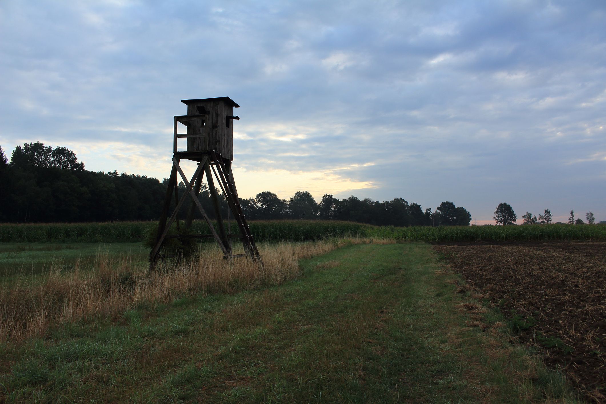 Symbolbild eines Hochstandes