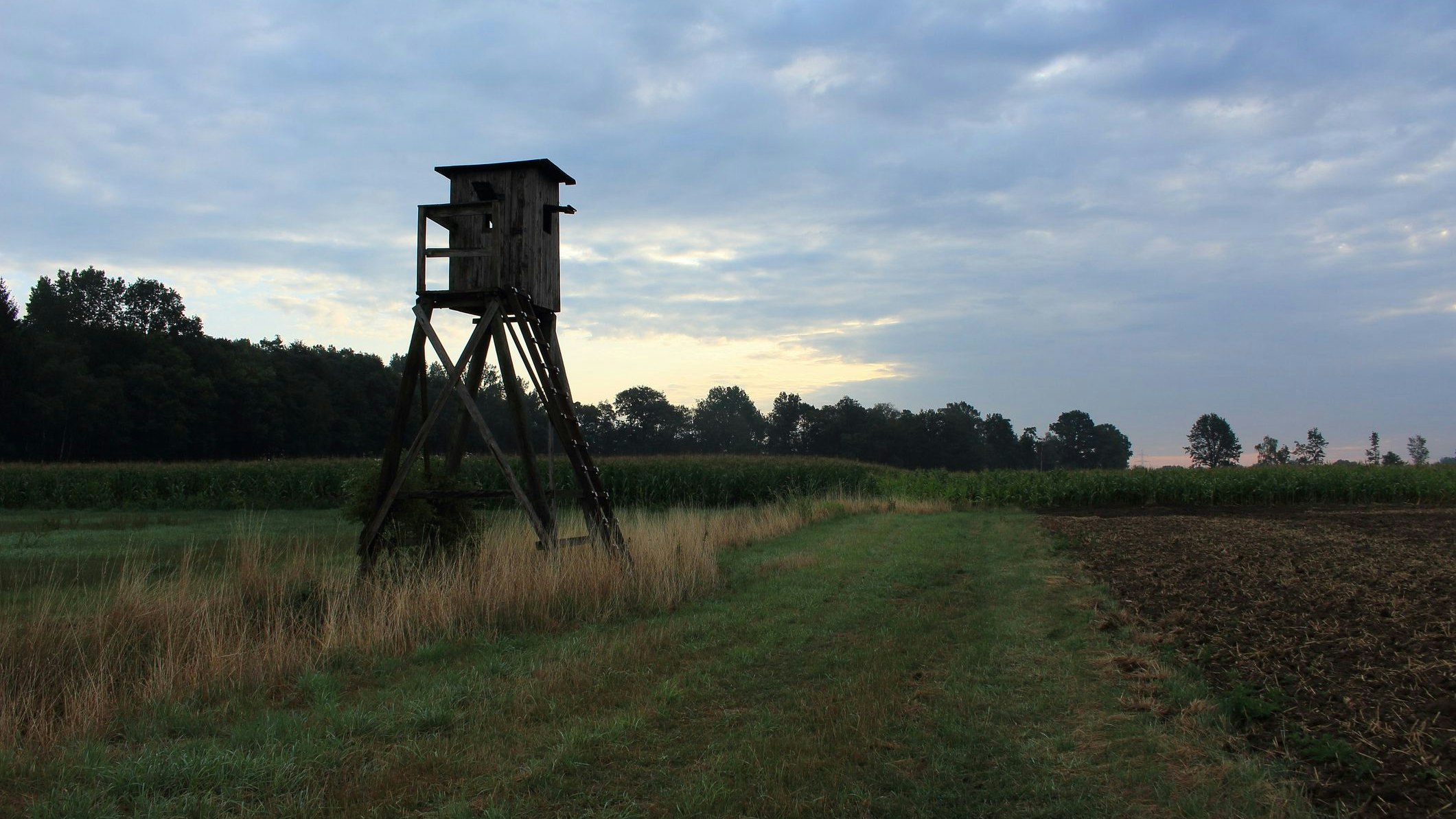 Symbolbild eines Hochstandes