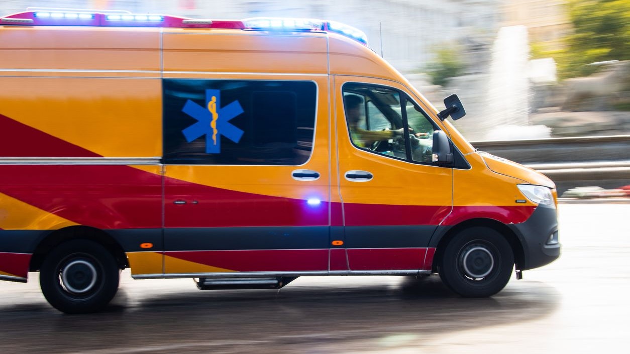 Bei einem Mann aus Spanien löste Hundespeichel wohl eine Lungenentzündung aus. (Symbolbild)