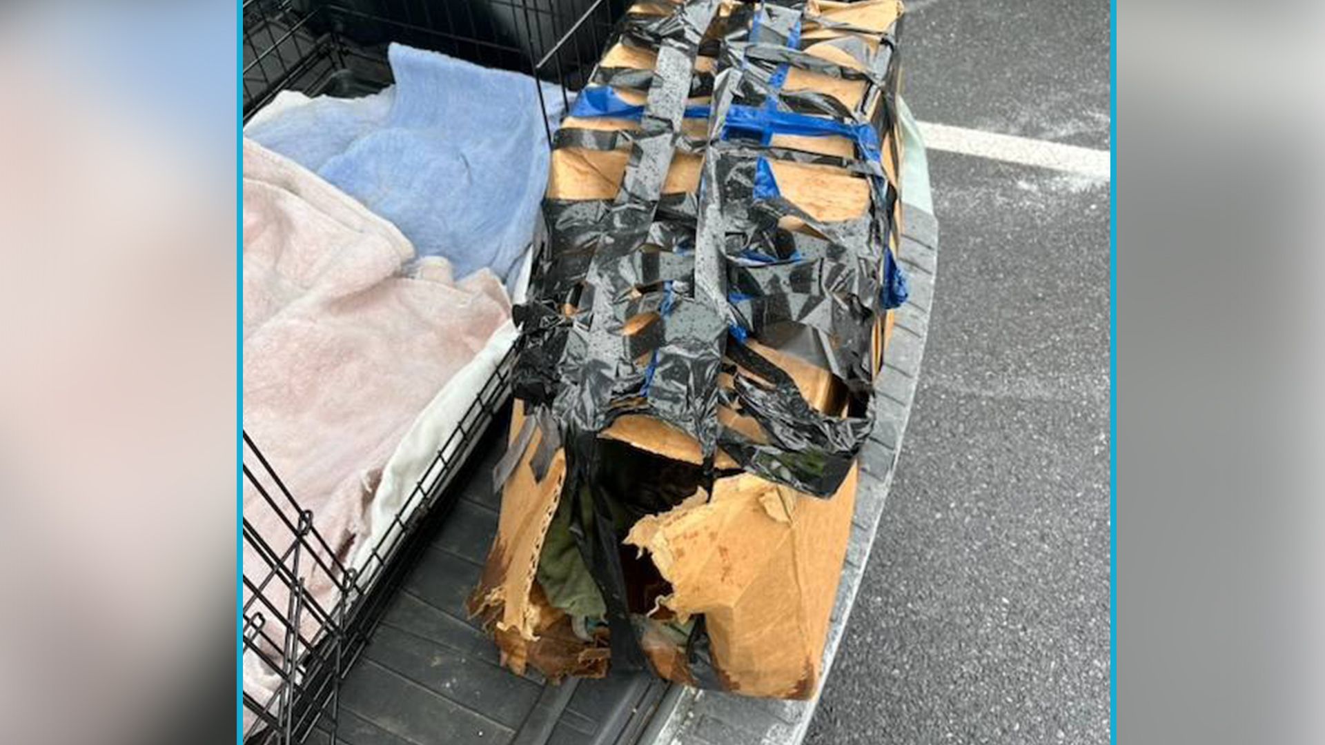 Vor einer McDonalds Filiale in den USA stand plötzlich ein verdächtiger Karton.&nbsp;