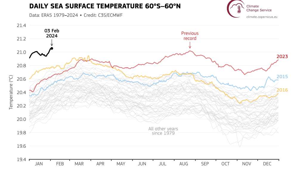 Die Meeresoberflächentemperatur ist seit neun Monaten auf Rekordniveau.