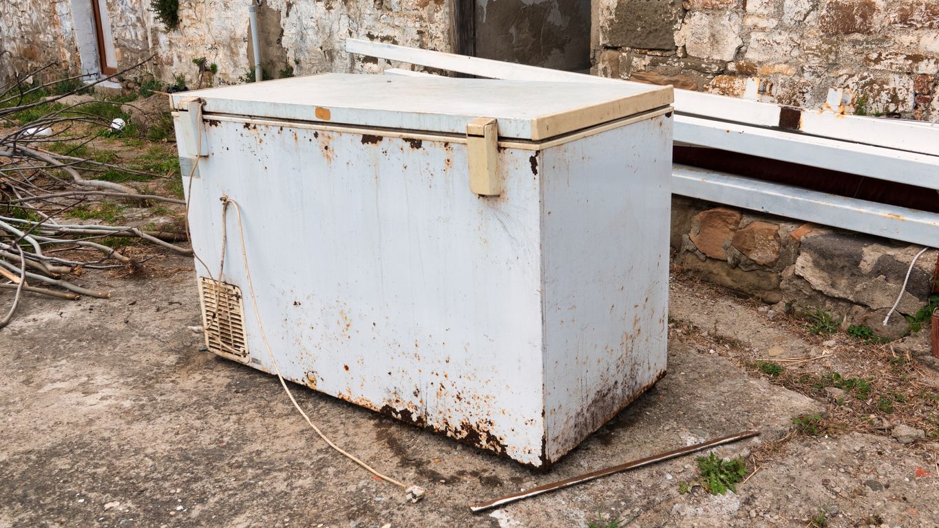 Ein Mann der französischen Gemeinde La Roquette-sur-Siagne ließ insgesamt 67 Katzen sterben.&nbsp;