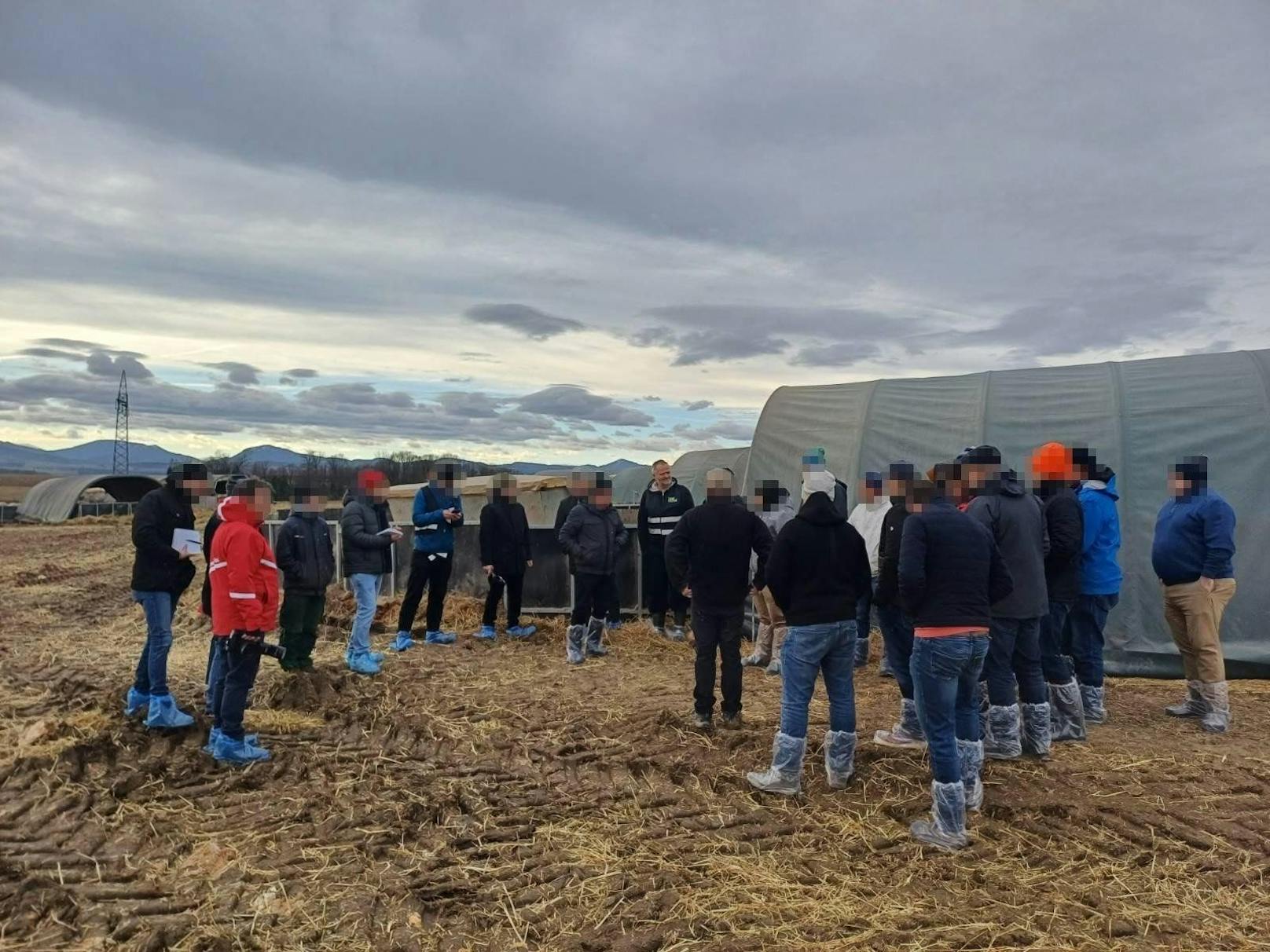 Großer Andrang herrschte beim Lokalaugenschein auf dem Feld in Gerersdorf.