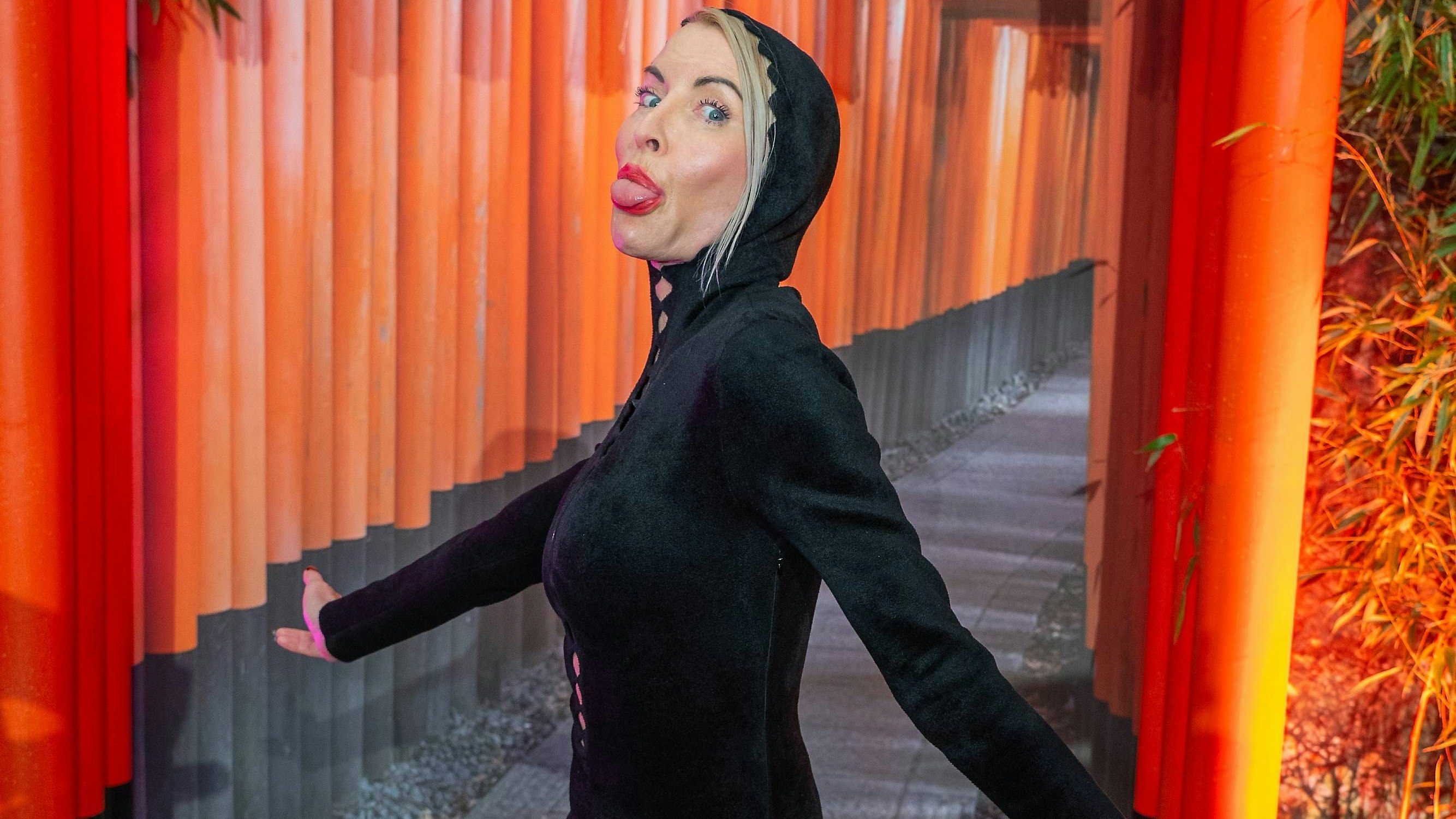 Schuldig! Heather Mills hatte viel Spaß mit den Juristen in der Wiener Hofburg 