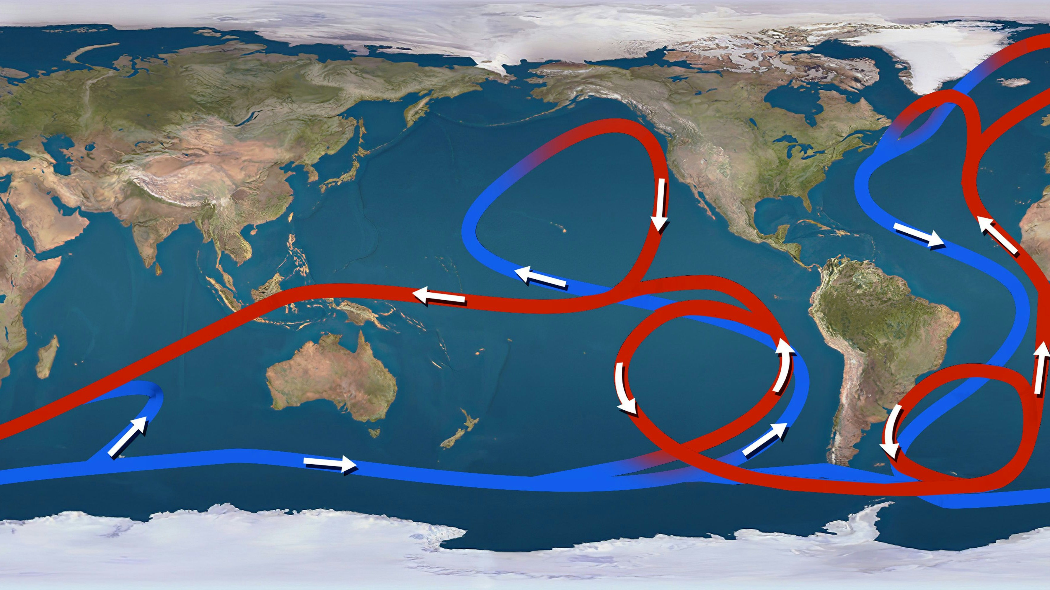 Download von www.picturedesk.com am 12.02.2024 (10:52).  Illustration showing global ocean currents. Cold deep ocean currents are blue. Warm surface currents are red. Surface currents are driven by the winds, deep ocean currents are driven by density differences due to temperature and salinity. Around the Antarctic is the eastward flowing Antarctic Circumpolar current. It is unobstructed by land for the entire circuit of the Earth and is the strongest current. The Gulf Stream arises in the Caribbean Sea and travels up the Eastern coast of the USA before crossing the Atlantic. It keeps western Europe significantly warmer than it would otherwise be. The Trade Winds drive the water westward along the equator and at mid-latitudes the water is driven eastwards by the easterlies. These opposing winds cause the currents in the ocean basins to form gyres, or giant loops. - 20230202_PD0448 - Rechteinfo: Rights Managed (RM)