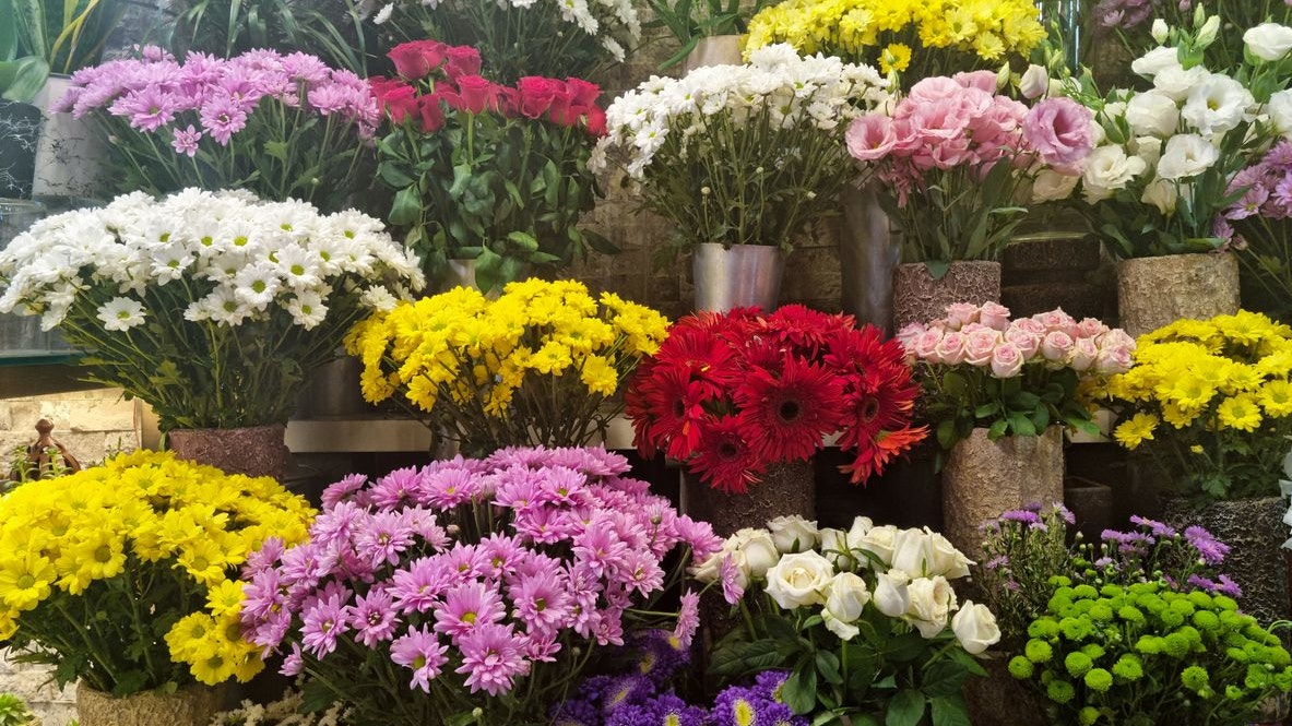 Greenhouse flower store