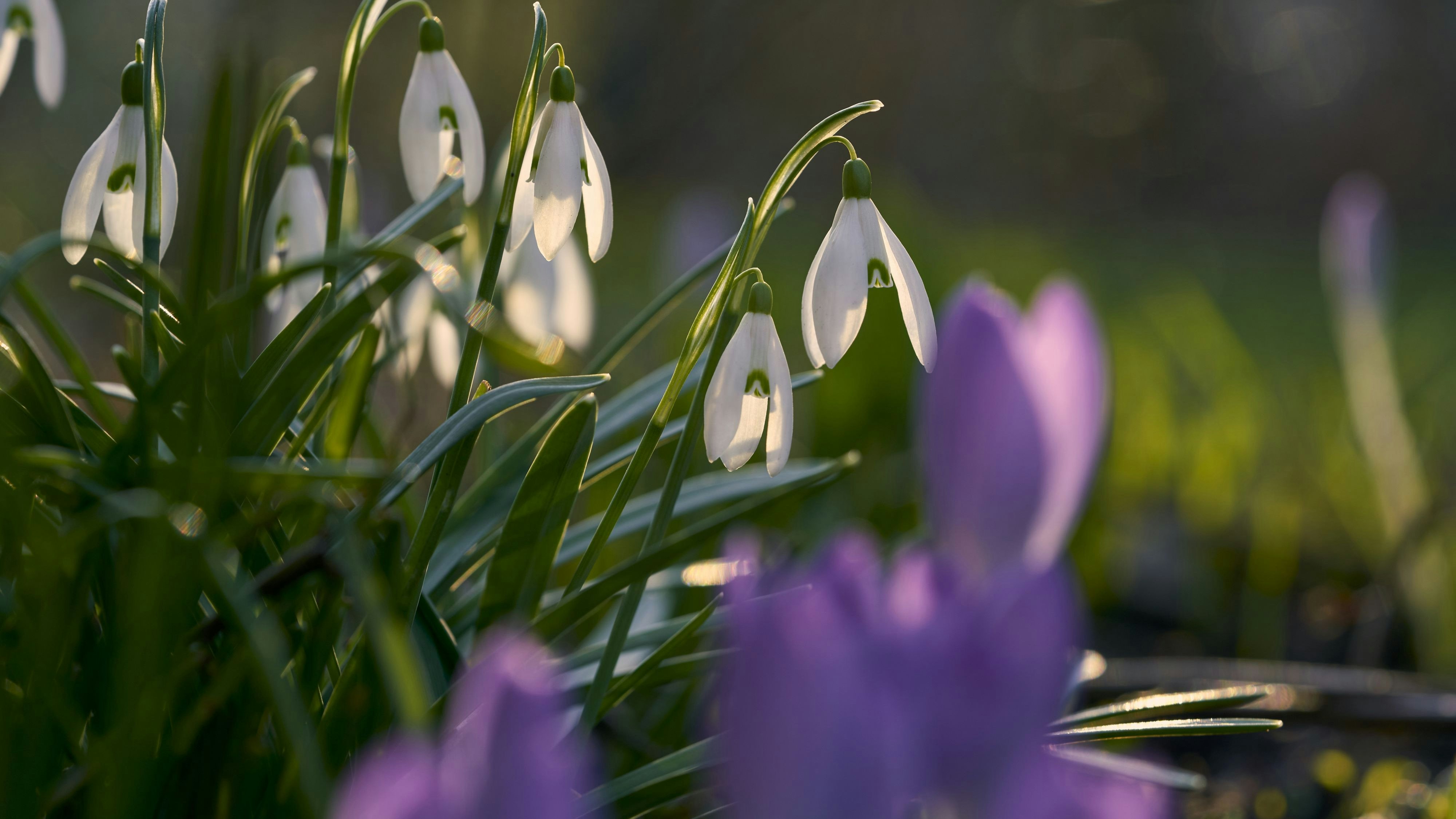 Heute.at - 16 Grad! Warmfront treibt jetzt letzte Kälte aus