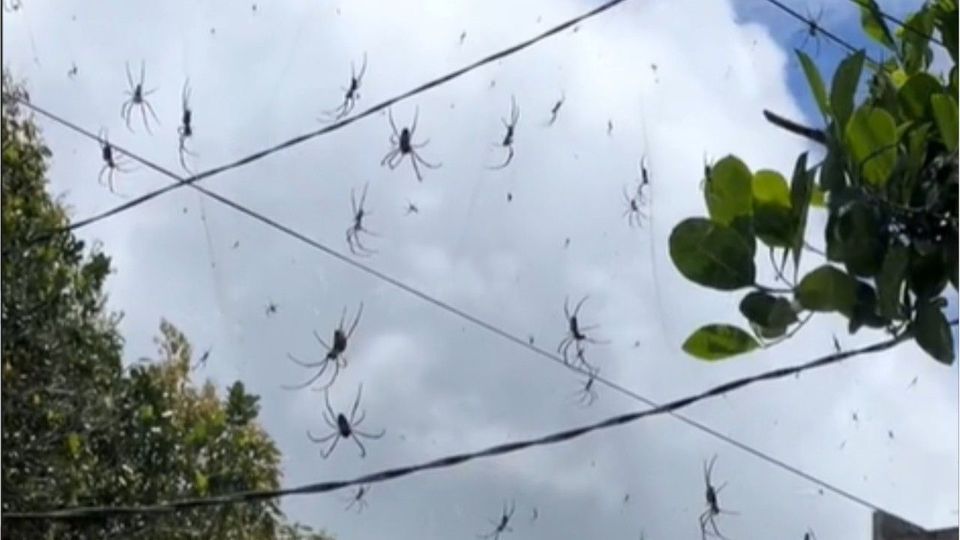 Ein Schock-Video aus der beliebten Urlaubsinsel Bali ging viral.&nbsp;