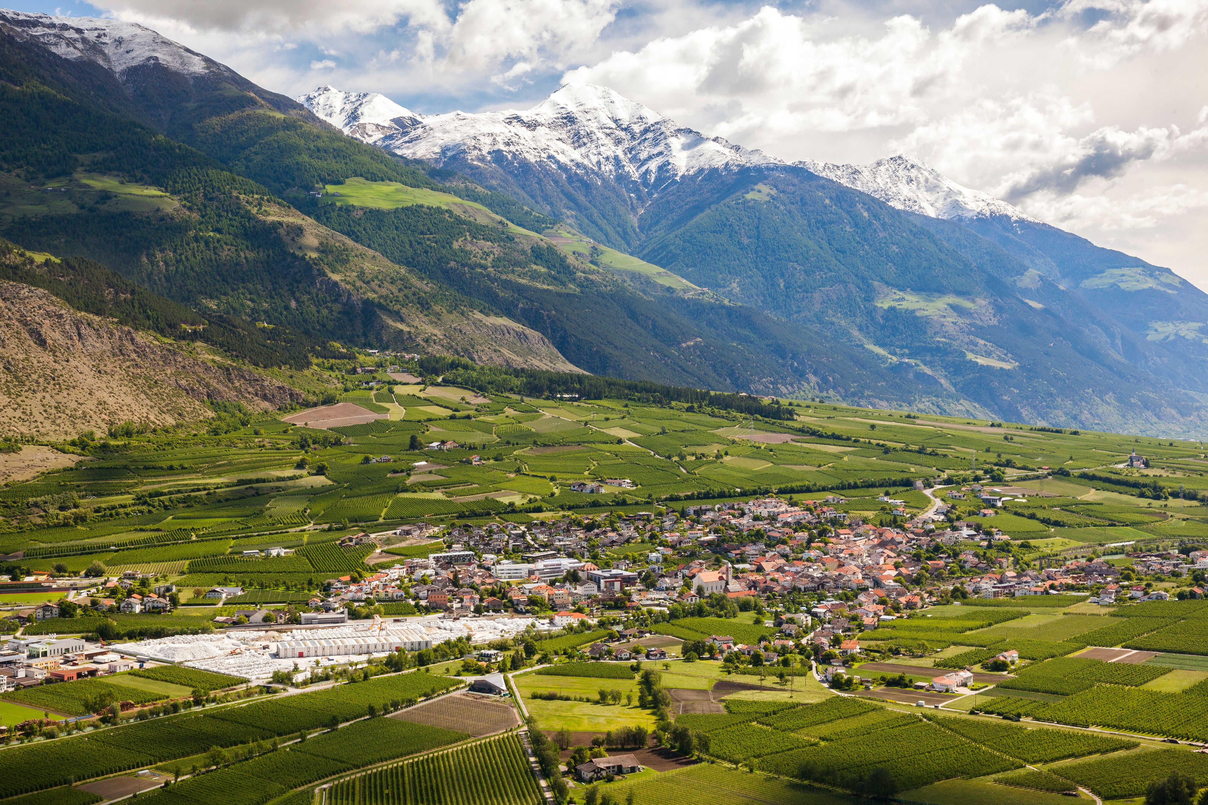 Das untere Vinschgau in Südtirol ist geprägt von Apfelplantagen.