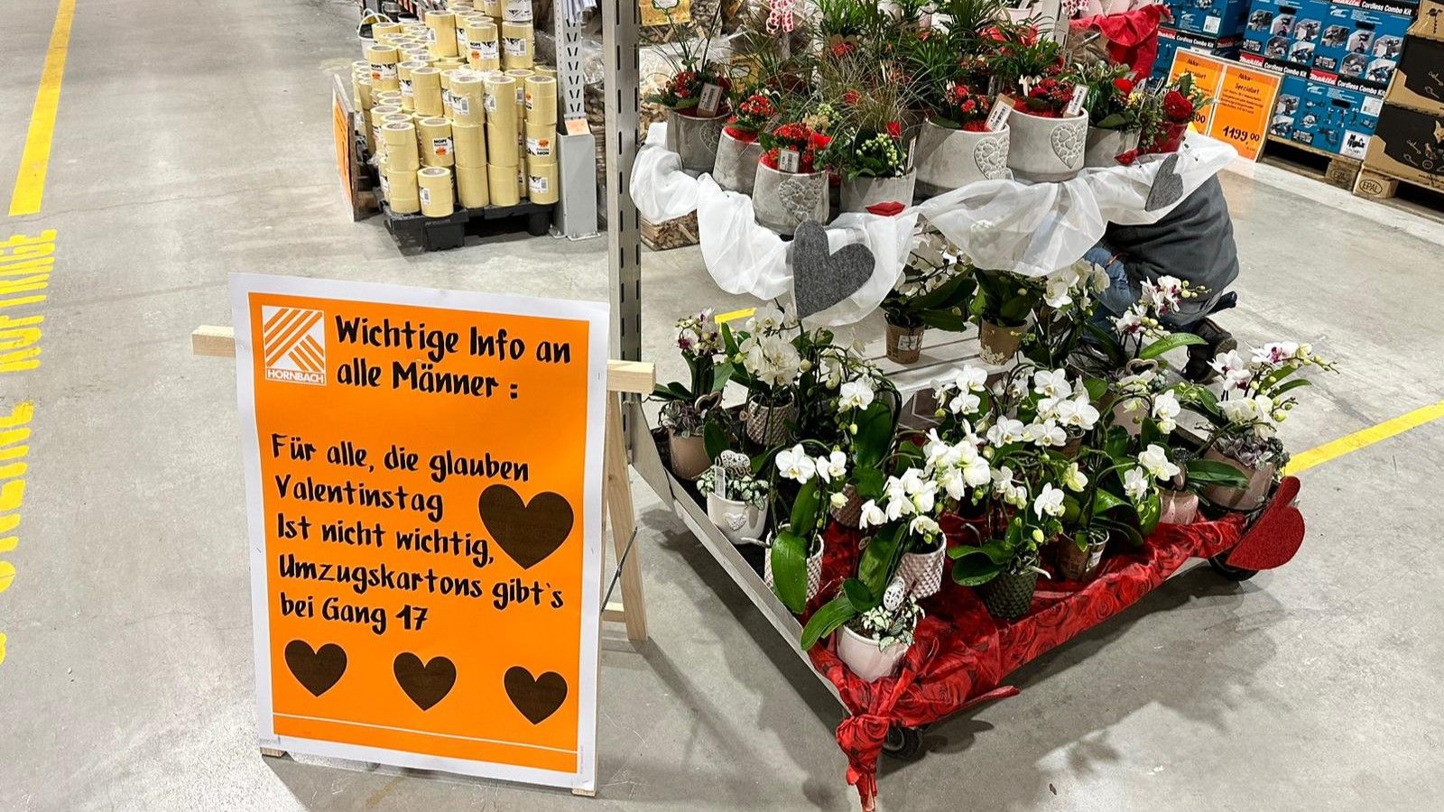 Bei der SCS besuchte Ali einen Baumarkt&nbsp;– dort gab es einiges zu sehen.