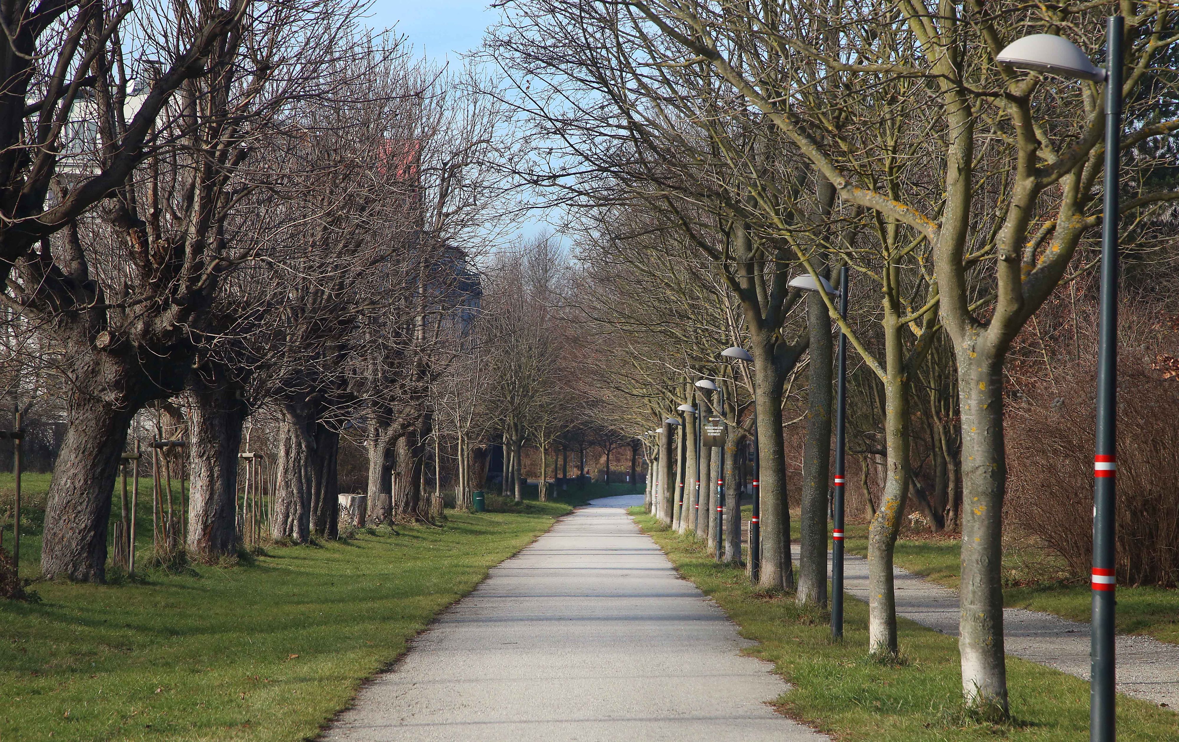 Das Erholungsgebiet Wienerberg (Archivfoto)