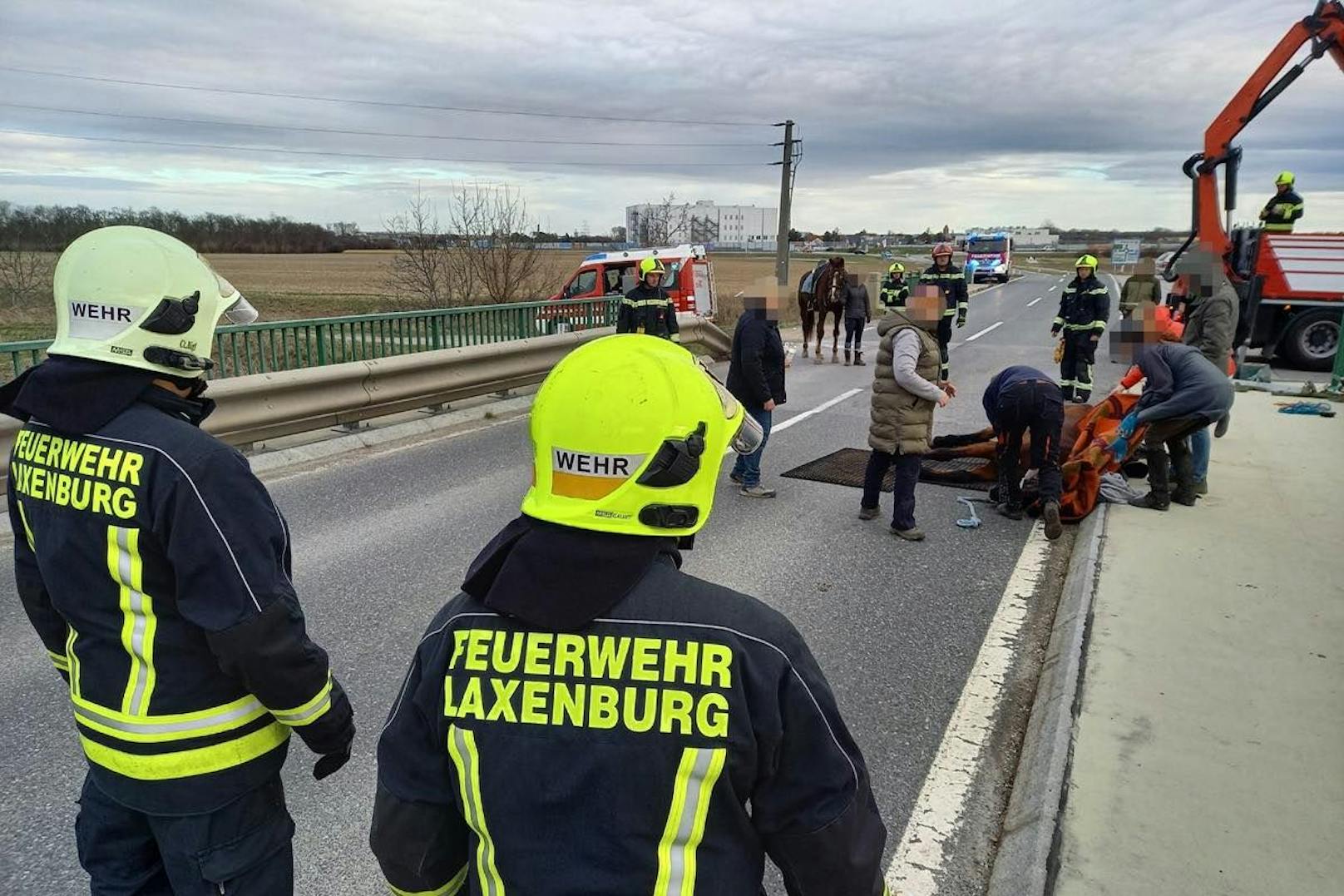 Die Feuerwehren Himberg und Laxenburg wurden zum Einsatz alarmiert.