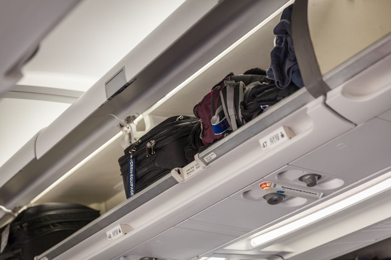 Im Handgepäckfach befand sich eine Tasche mit verfaultem Fisch (Symbolbild).