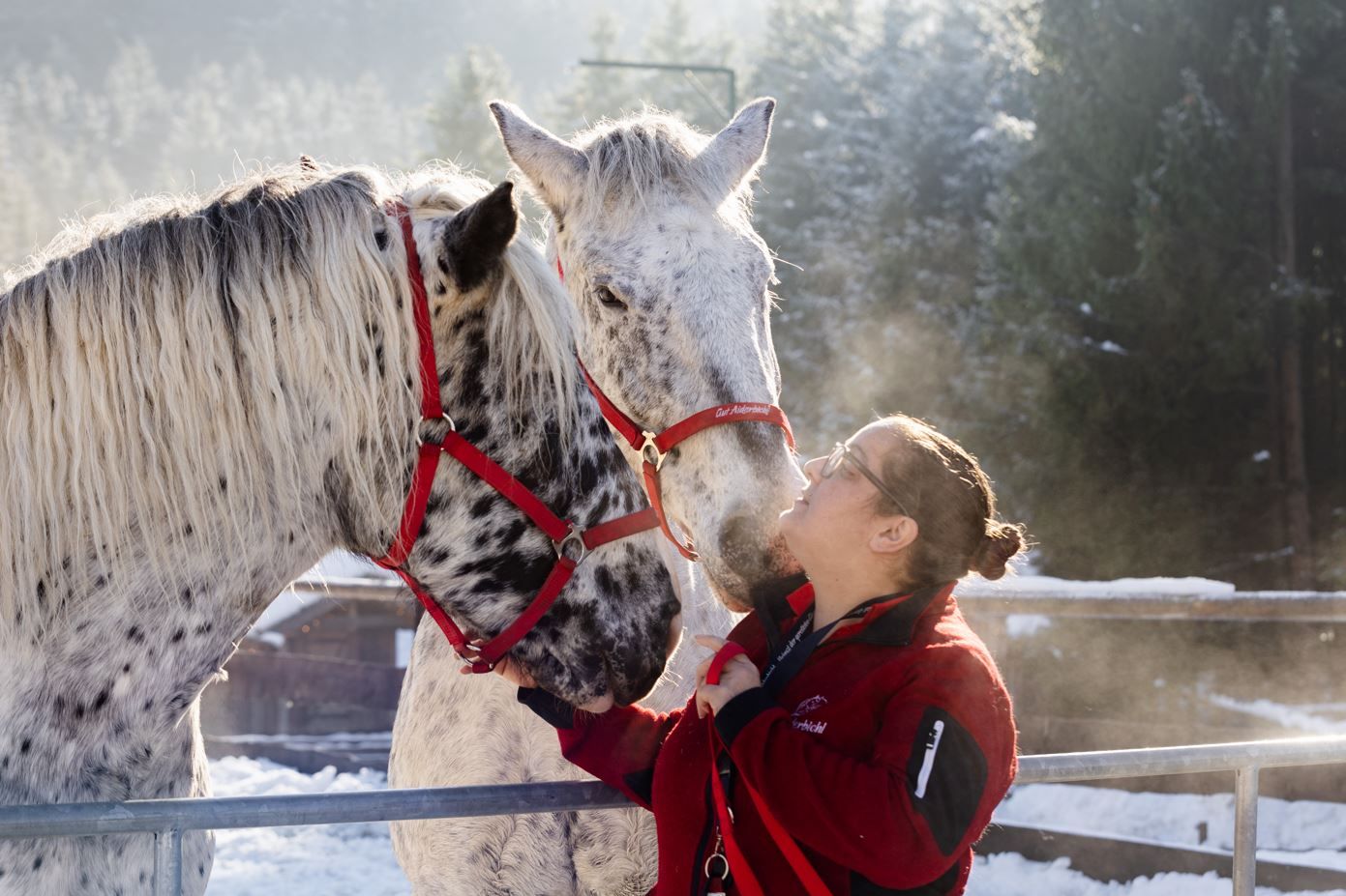 Gut Aiderbichl kann auf mehrere spektakuläre Rettungsaktionen 2023 zurückblicken.