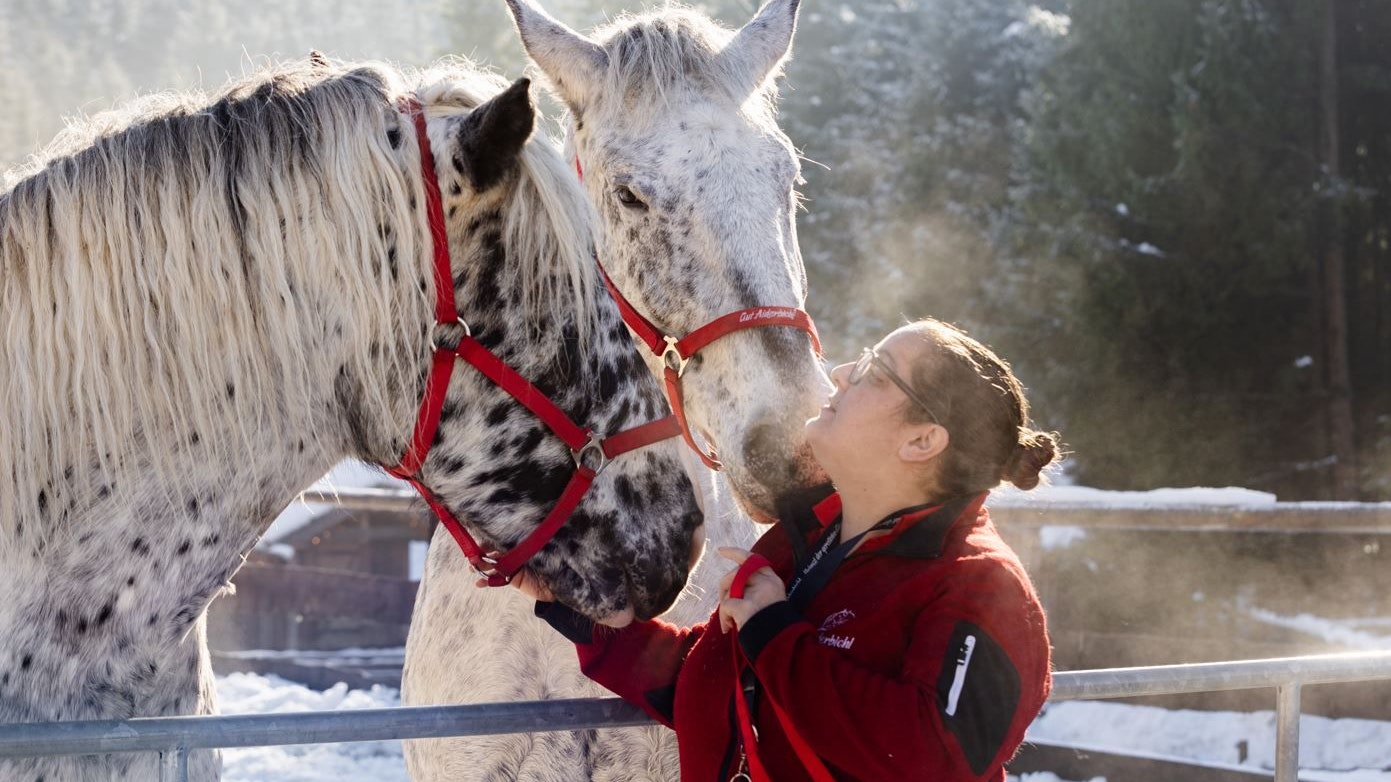Heute.at - 2023 konnten fast 2.000 Tiere gerettet werden