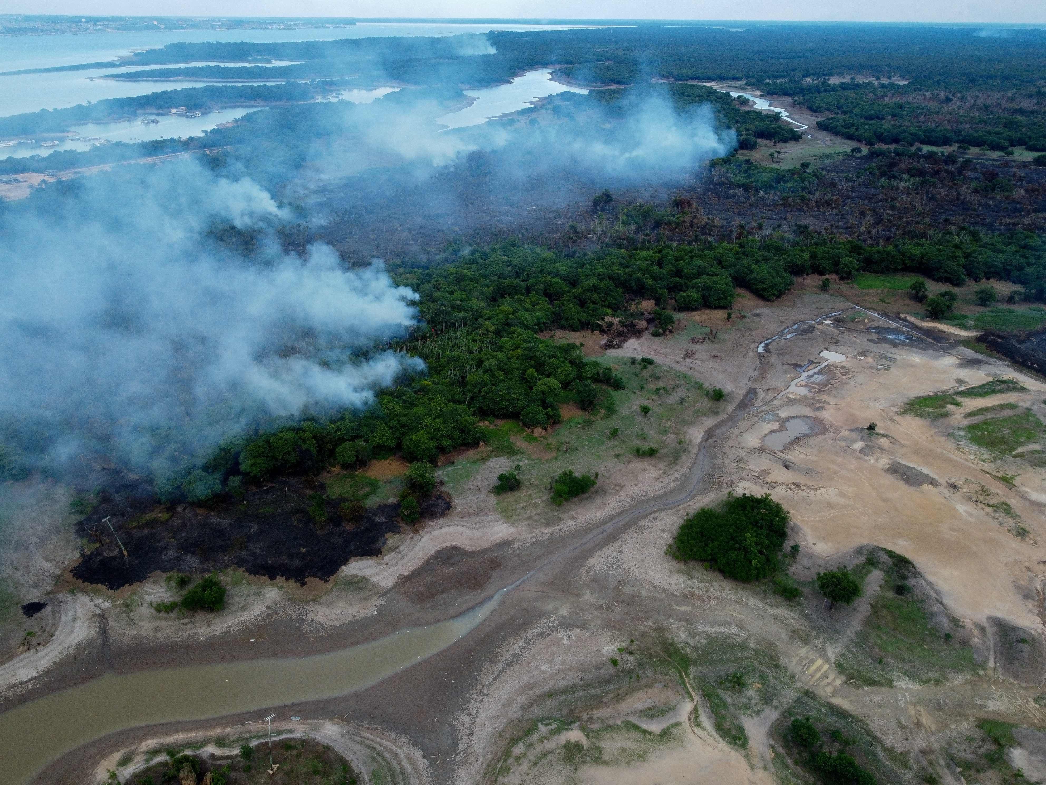 Der Amazonas-Regenwald könnte seinen Klima-Kipppunkt schon 2050 erreichen.&nbsp;