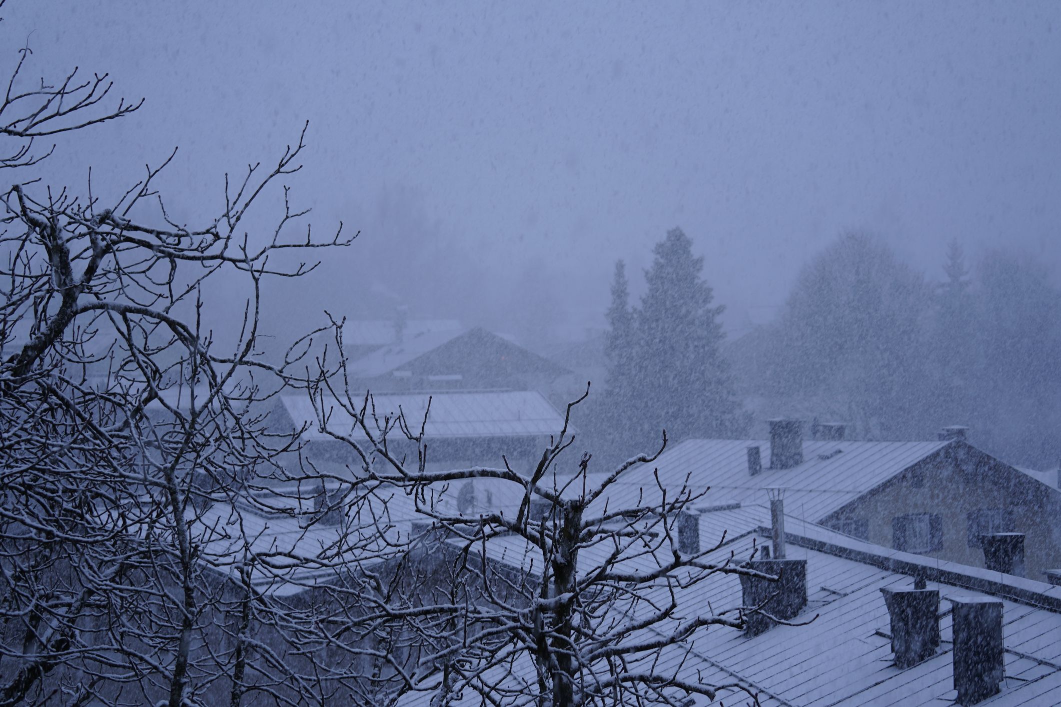 Nach dem Wochenende verschiebt sich die Schneefallgrenze immer weiter nach unten.