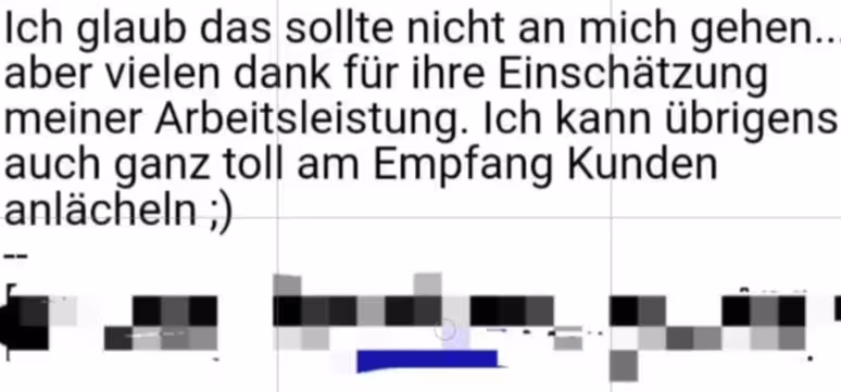 Die E-Mail ging fälschlicherweise an die Bewerberin (36). Das ist ihre Antwort darauf.