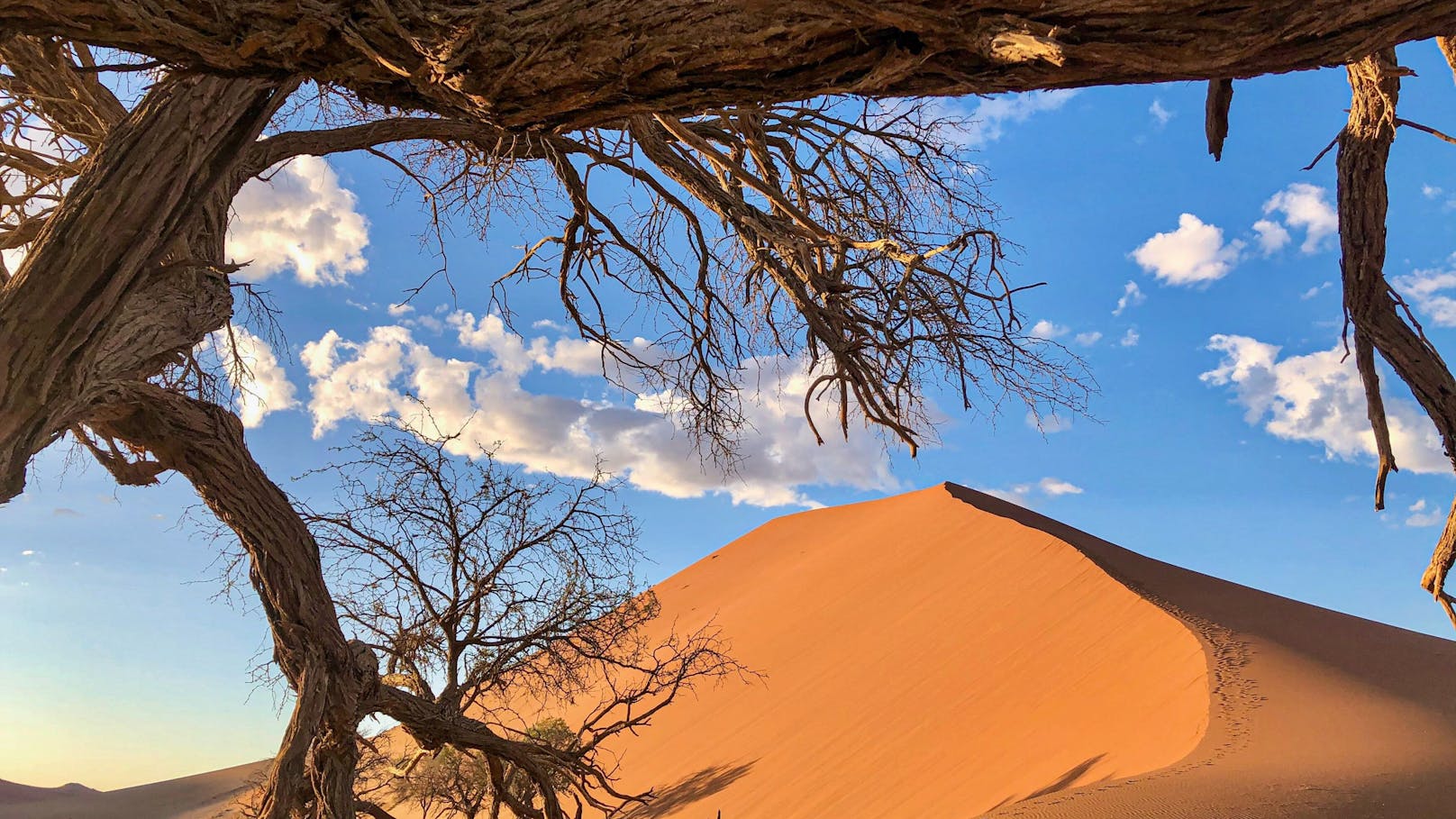 Die Sand-Dünen in der Namib-Wüste können bis zu 400 Meter hoch werden.