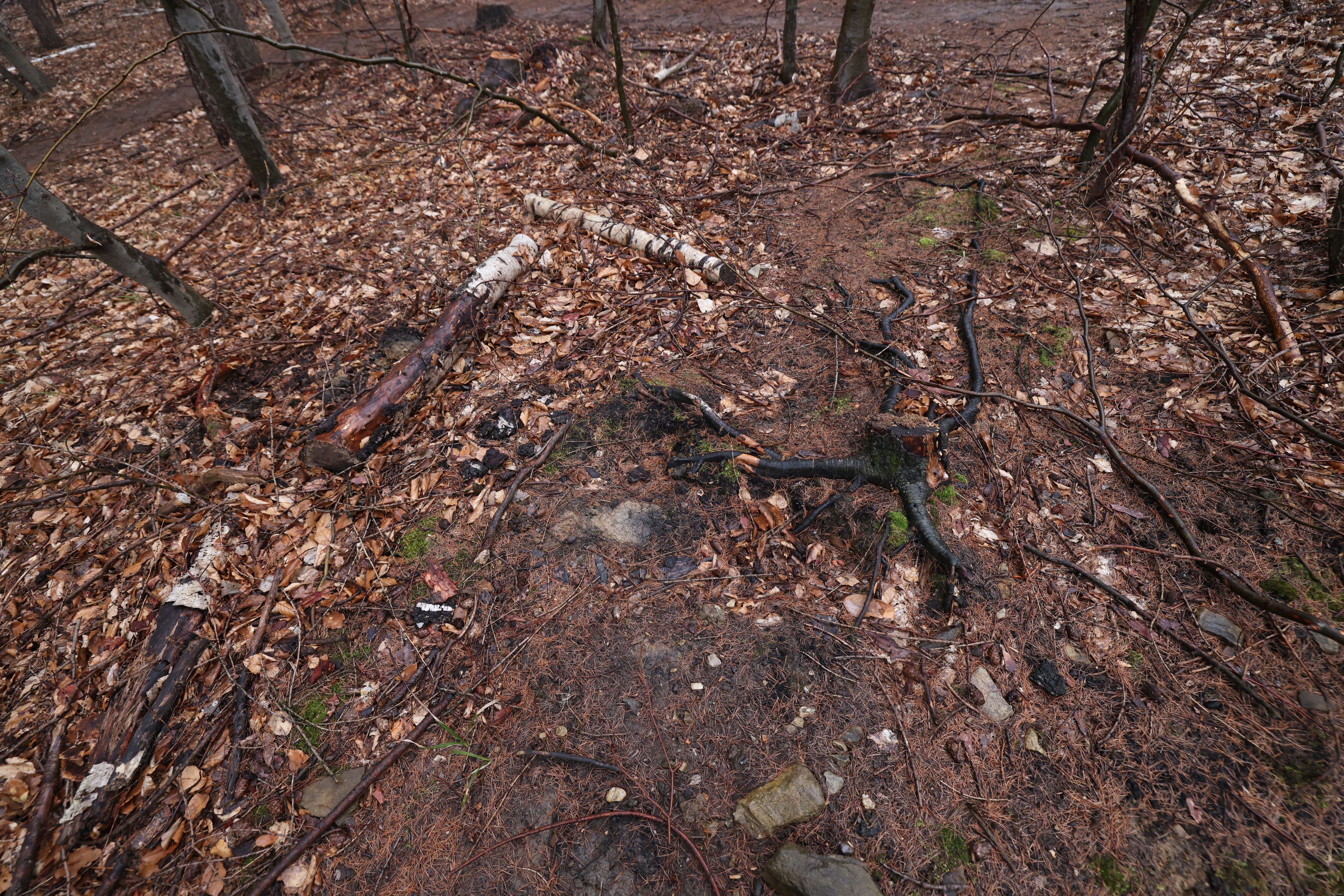 Hier, in einem Waldstück in Wien-Hernals, stieß der Hund eines Wanderers Sonntagmittag auf die verbrannte Leiche einer Frau.