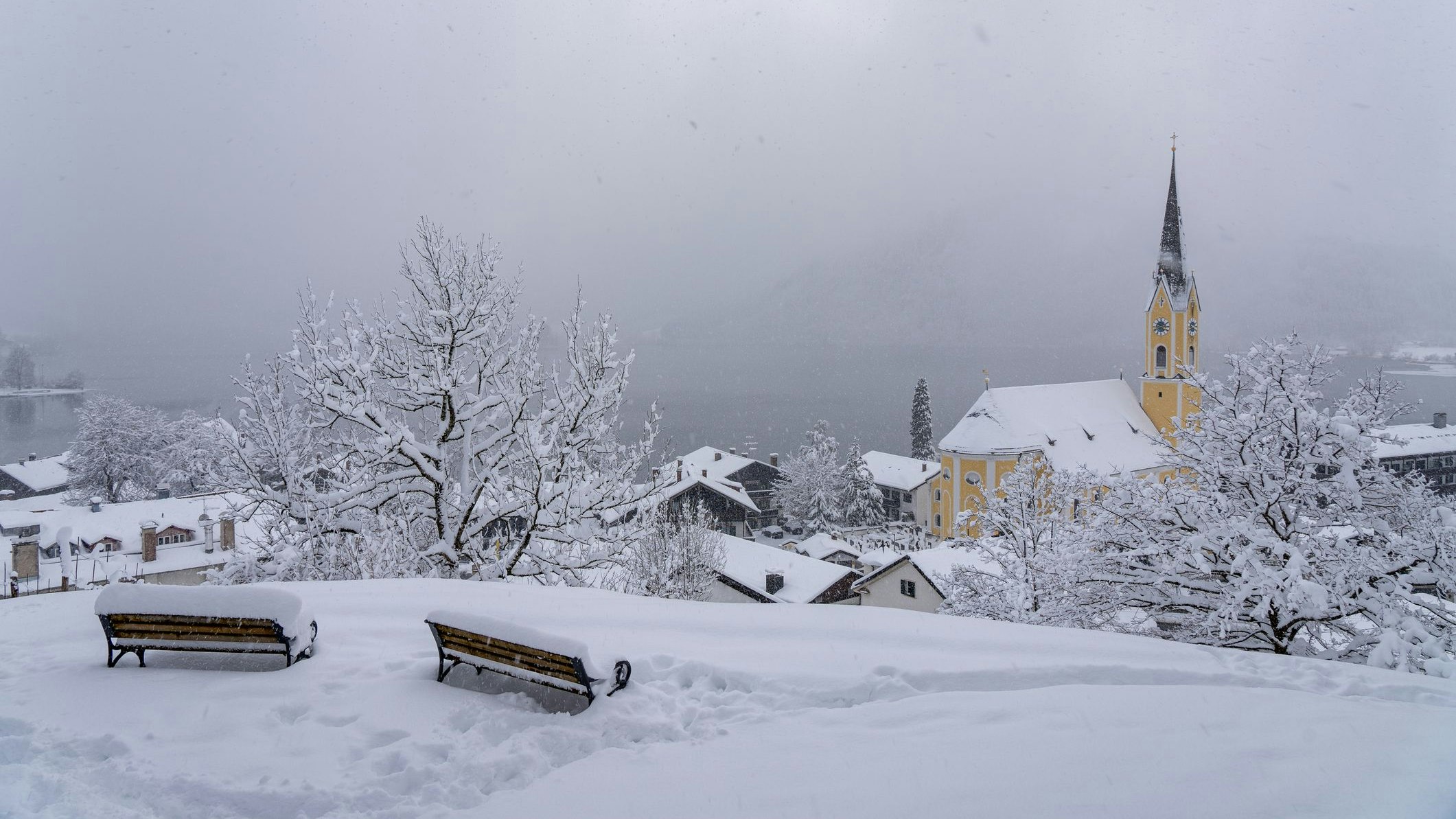 Heute.at - Jetzt steht fest, wie schlimm Schneewalze wirklich wird