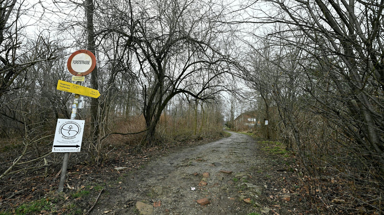 Aufgrund der schweren Verbrennungen konnte die Identität der verstorbenen Frau noch nicht festgestellt werden. Bei den Ermittlungsmaßnahmen am Auffindungsort unterstützte ein Brandmittelspürhund der Polizeidiensthundeeinheit", so Polizeisprecher Philipp Haßlinger Montagvormittag.