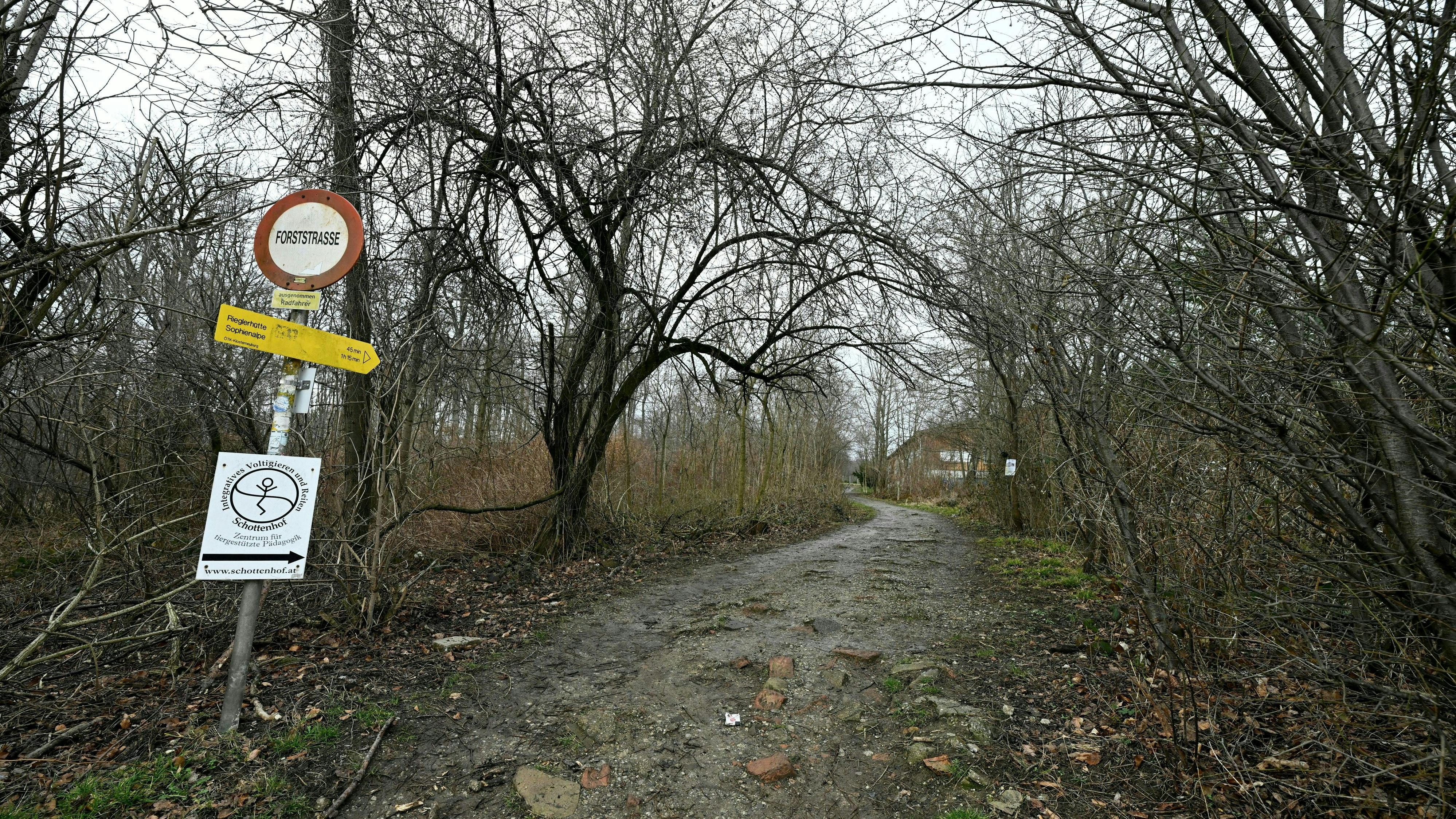 Heute.at - Wanderer findet verbrannte Frau in Wiener Waldstück