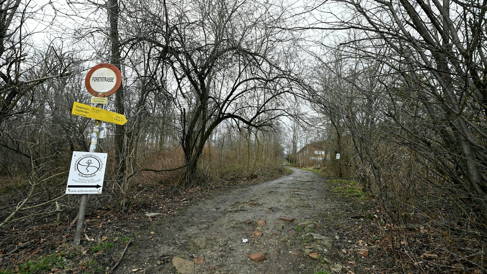 Wanderer findet verbrannte Frau in Wiener Waldstück