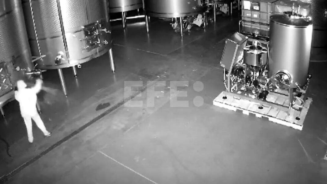 Heute.at - Einbrecher knackt Keller, verschüttet 60.000 Liter Wein