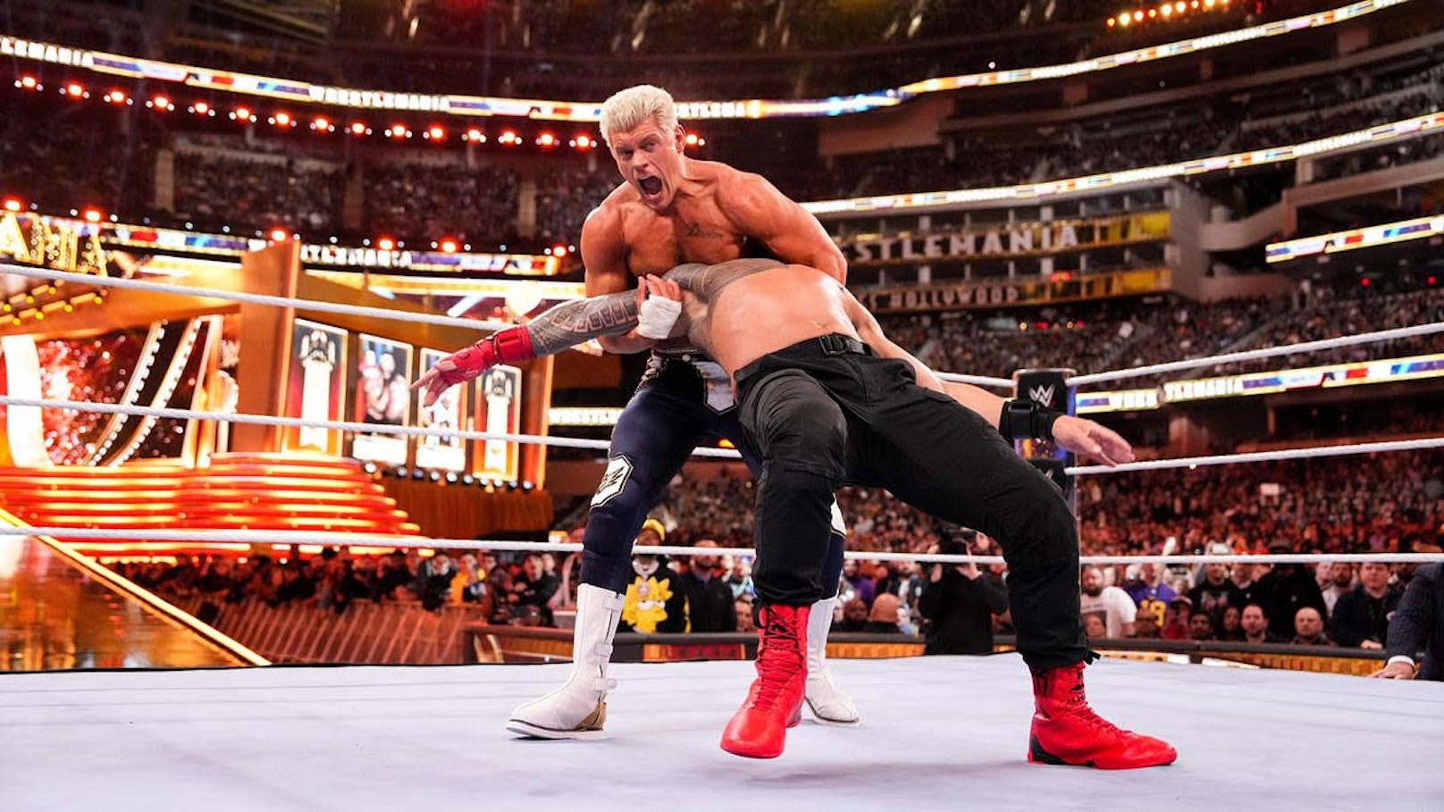 Endlich! Die WWE-Superstars kommen im Mai nach Wien