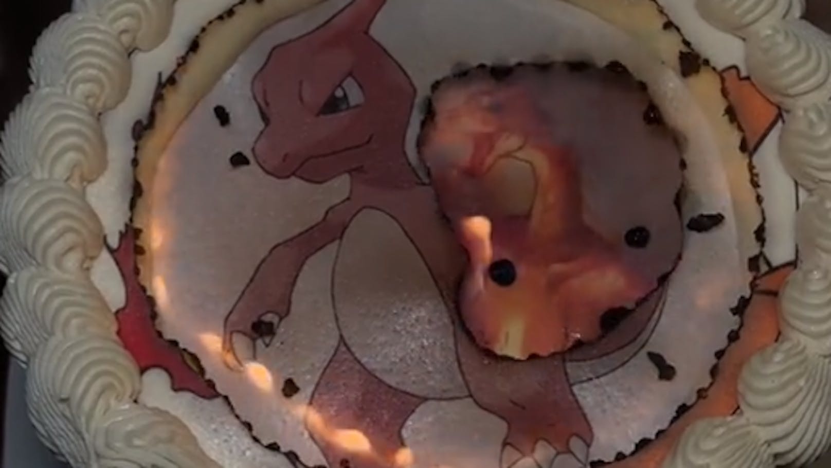 Brennende Torten – Foodtrend auf Tiktok fängt Feuer