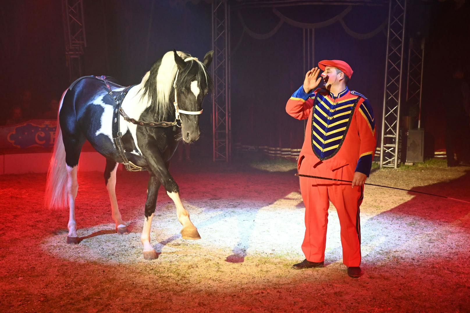 Circus Frankello: Unterhaltsame Pferdedressur mit Clown Gino