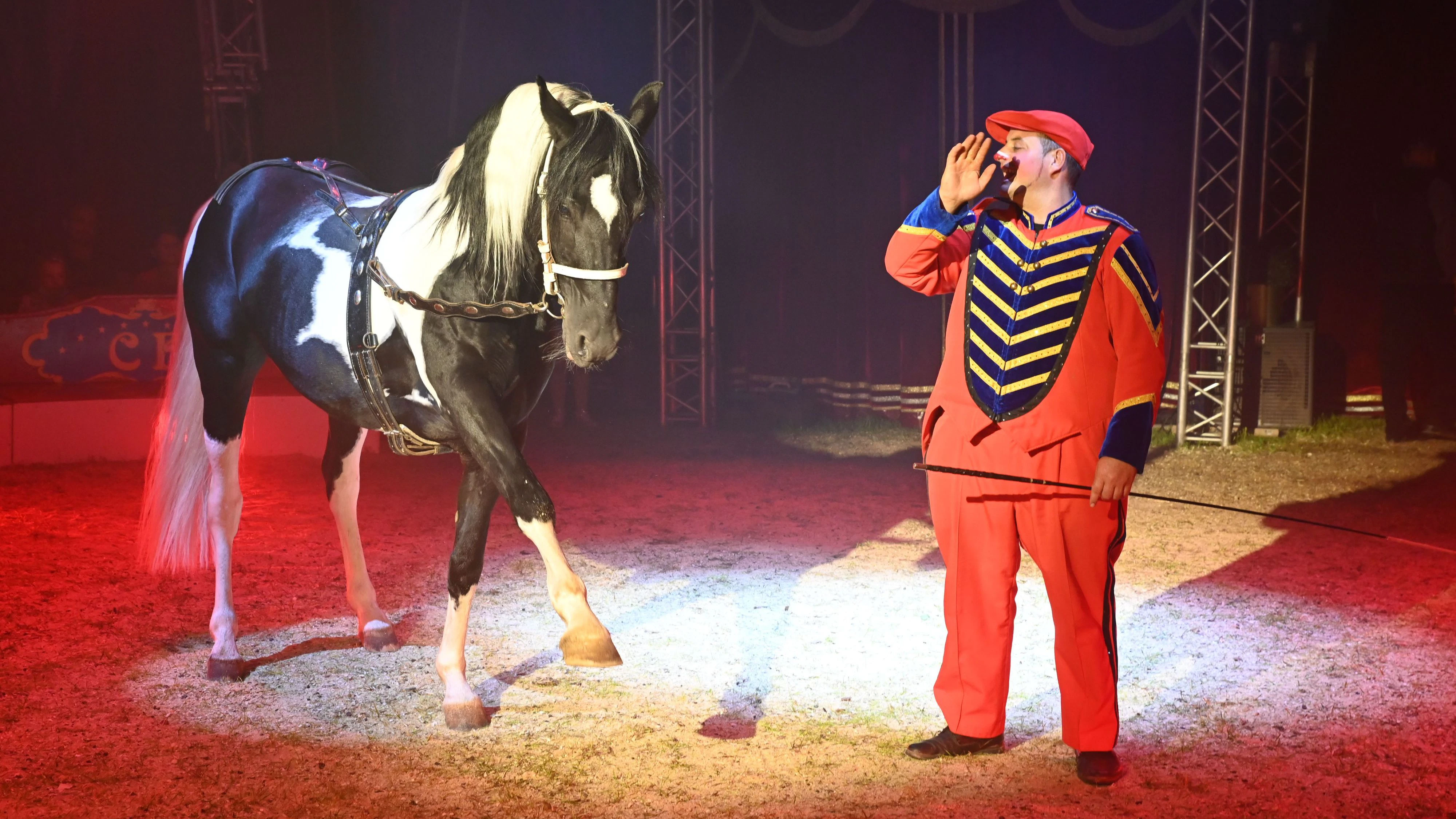 Circus Frankello: Unterhaltsame Pferdedressur mit Clown Gino