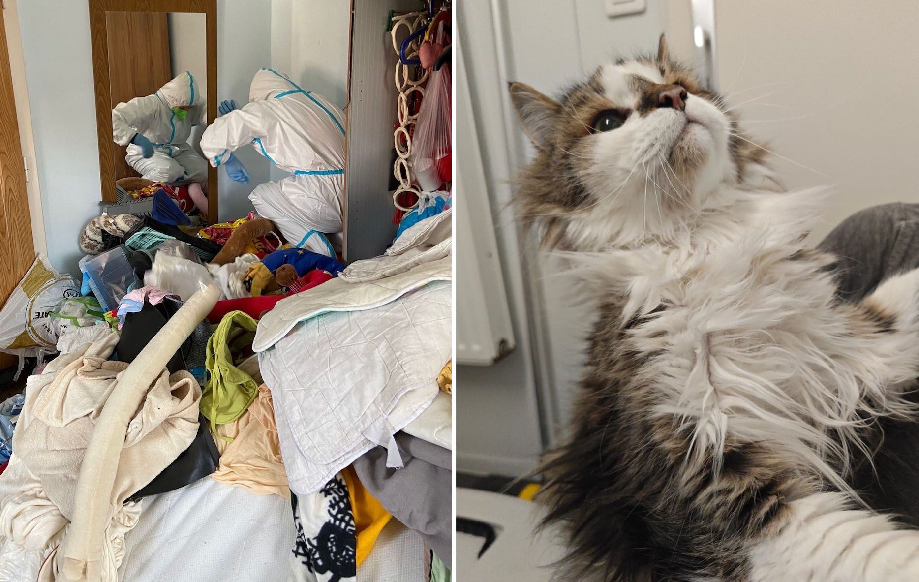 Die sechs Katzen lebten unter unvorstellbaren Bedingungen in der Messie-Wohnung.