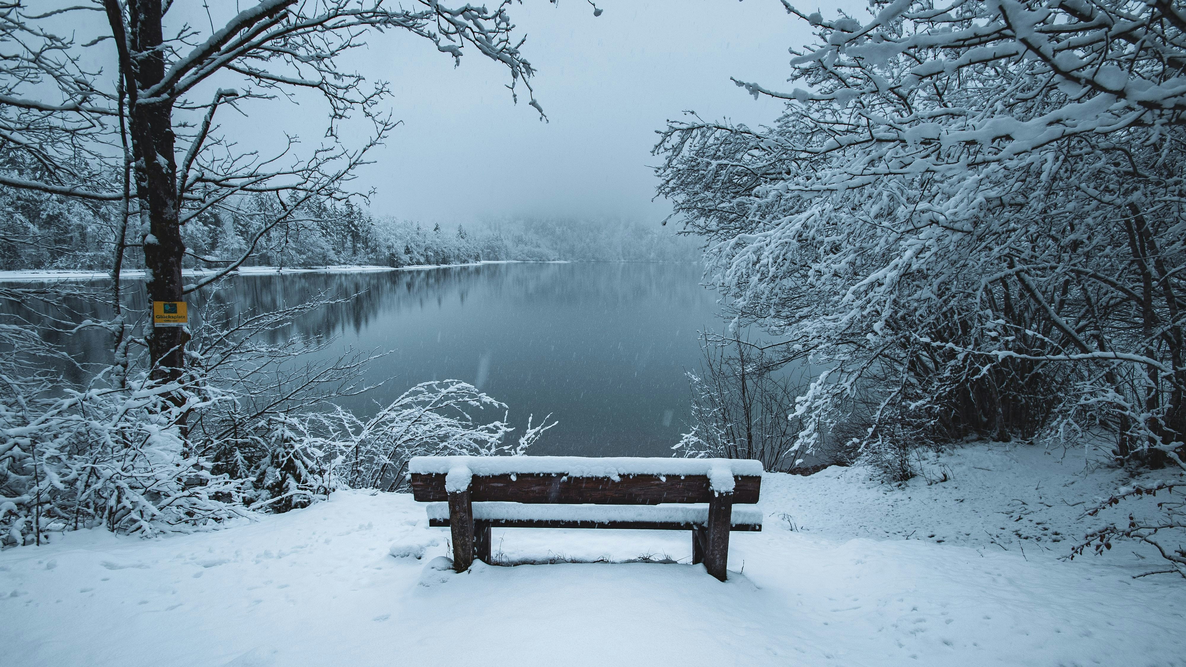 Heute.at - Neuschnee und Starkregen – nun droht Schneebruchgefahr