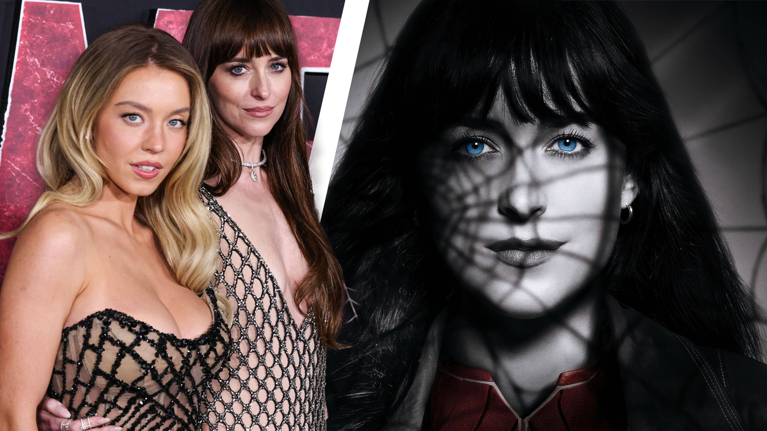 Selbst die Besetzung von Sydney Sweeney und Dakota Johnson konnte diesen Film nicht erfolgreicher machen.