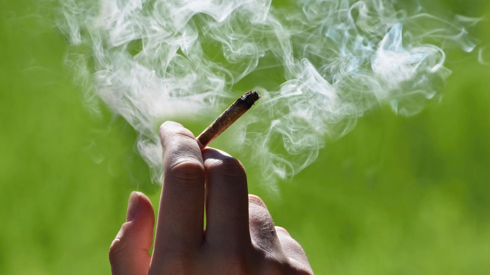 Deutscher Bundestag stimmt Cannabis-Legalisierung zu