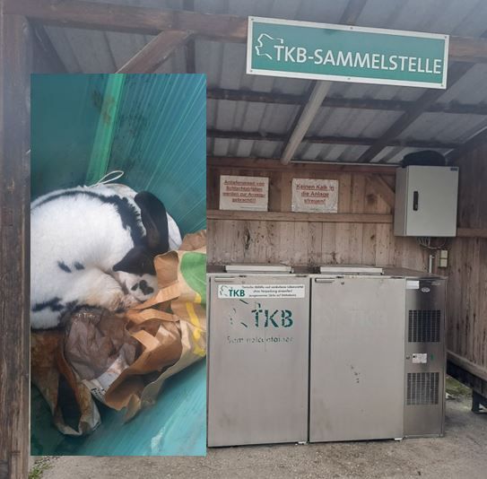 Der Hase wurde lebend entsorgt.